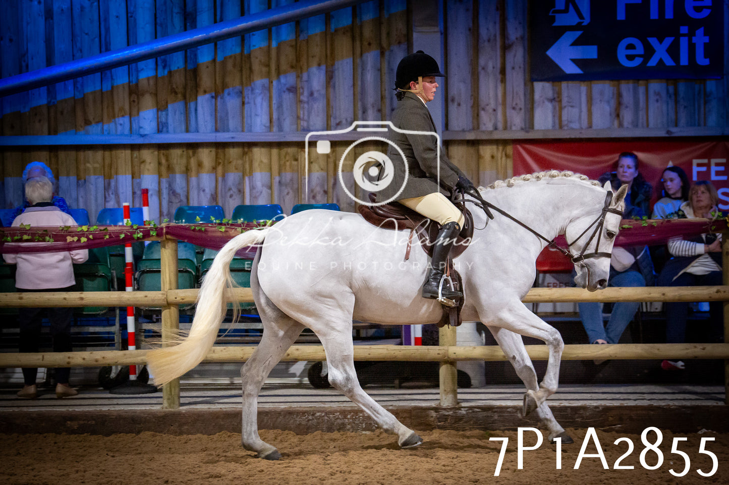 JHOYS 2025 - Ridden Showing - 28th September - pt3