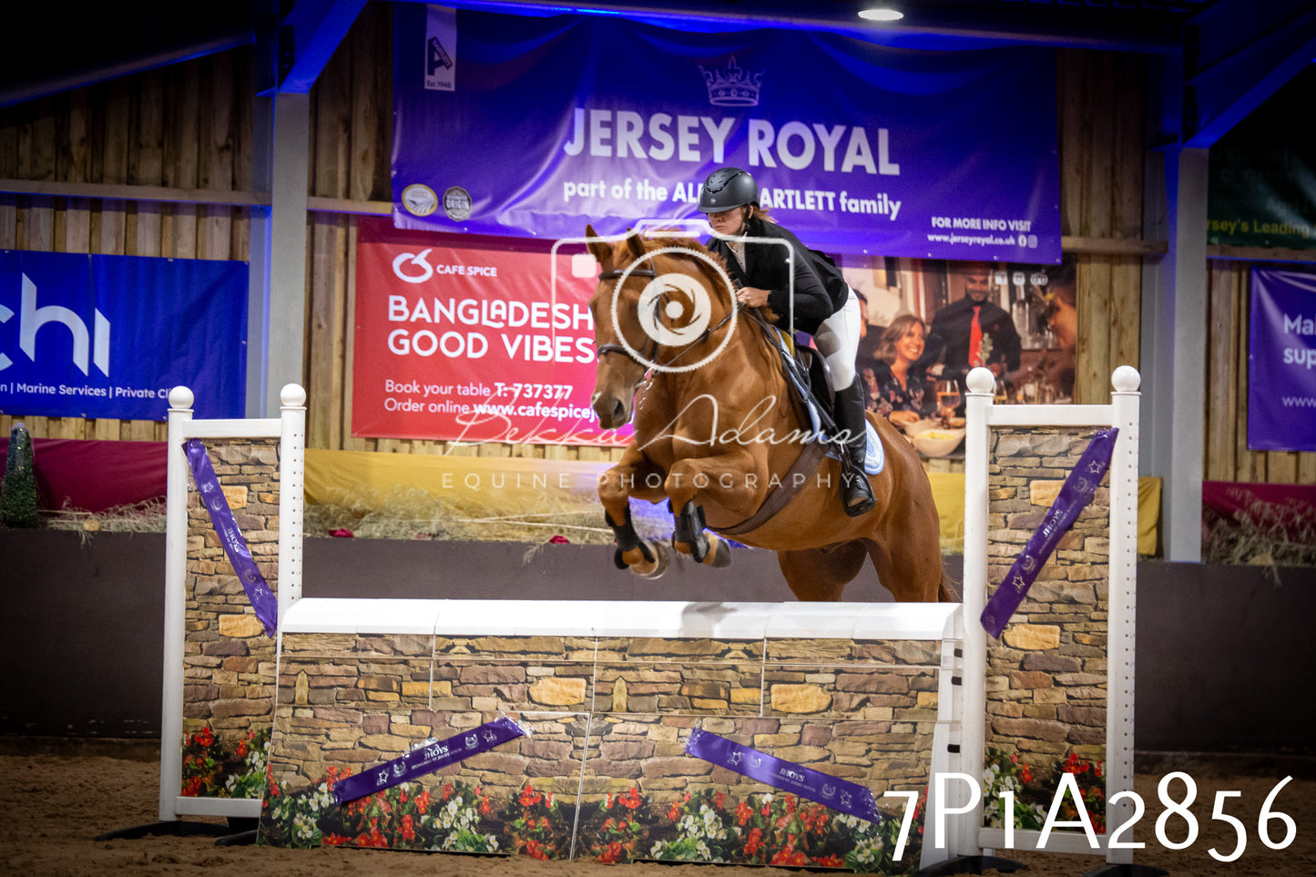 JHOYS 2025 - Show Jumping - 20th September - Puissance