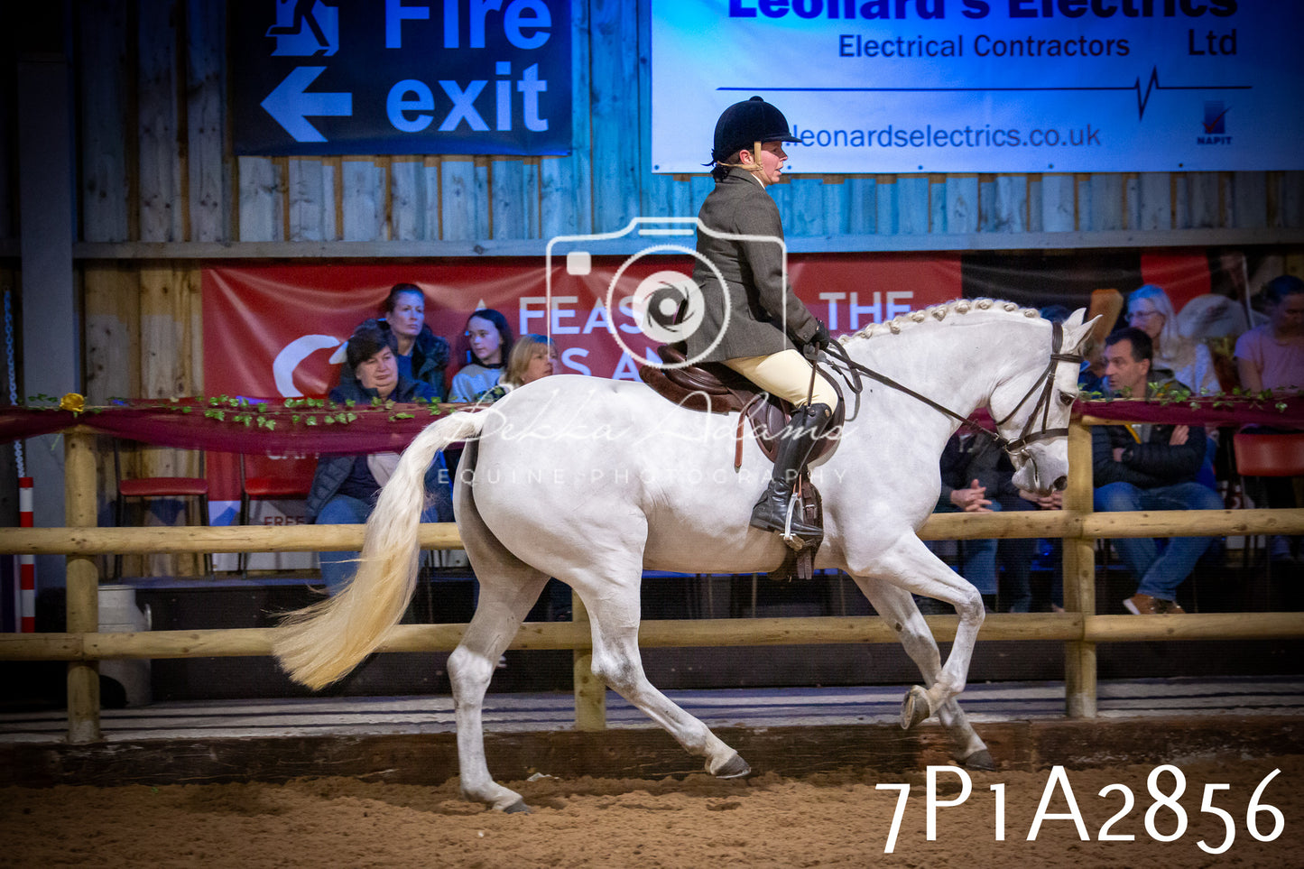 JHOYS 2025 - Ridden Showing - 28th September - pt3