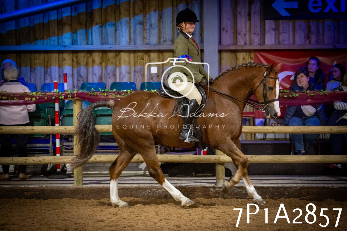 JHOYS 2025 - Ridden Showing - 28th September - pt3