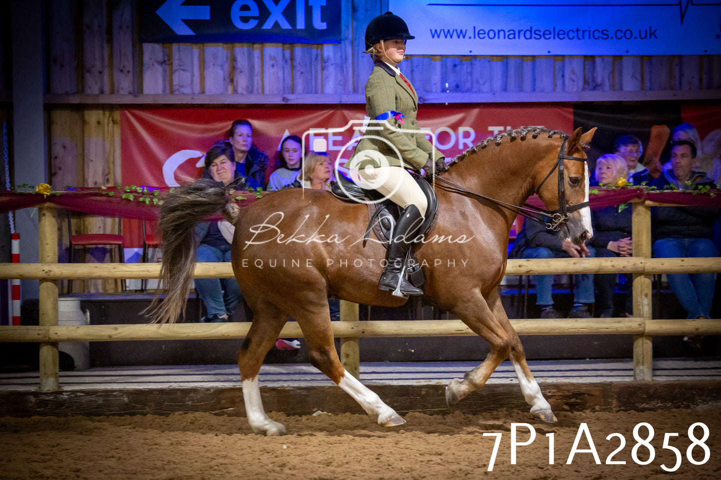 JHOYS 2025 - Ridden Showing - 28th September - pt3