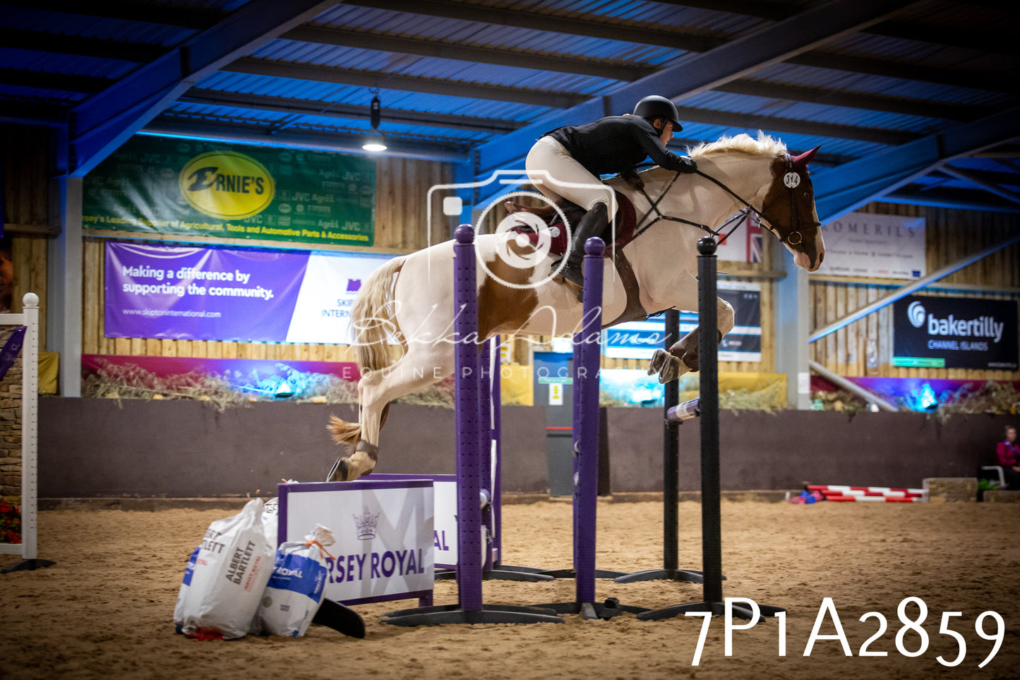 JHOYS 2025 - Show Jumping - 20th September - Puissance