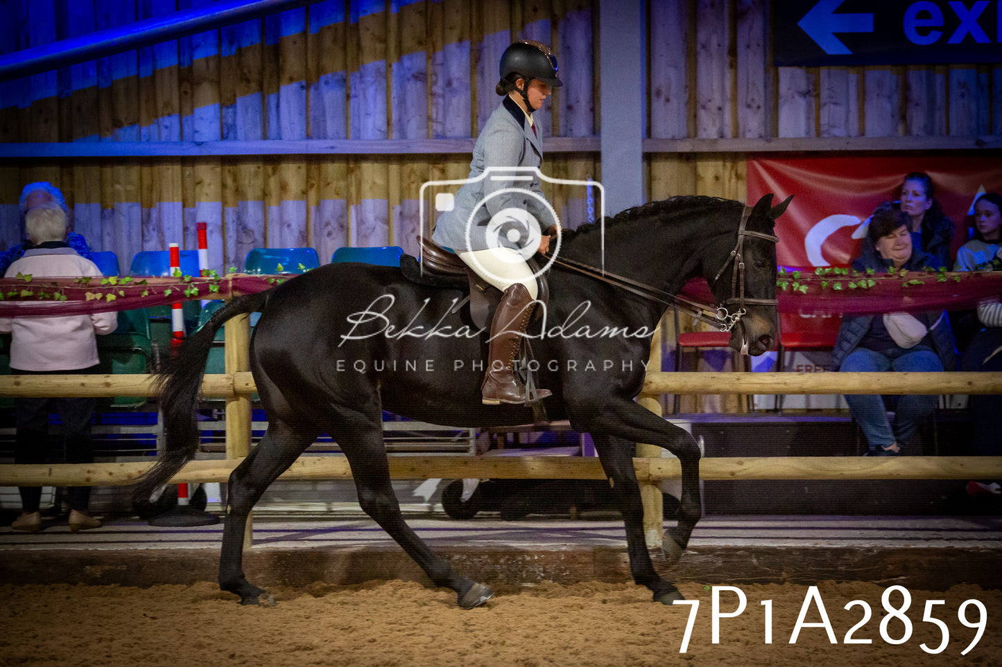 JHOYS 2025 - Ridden Showing - 28th September - pt3