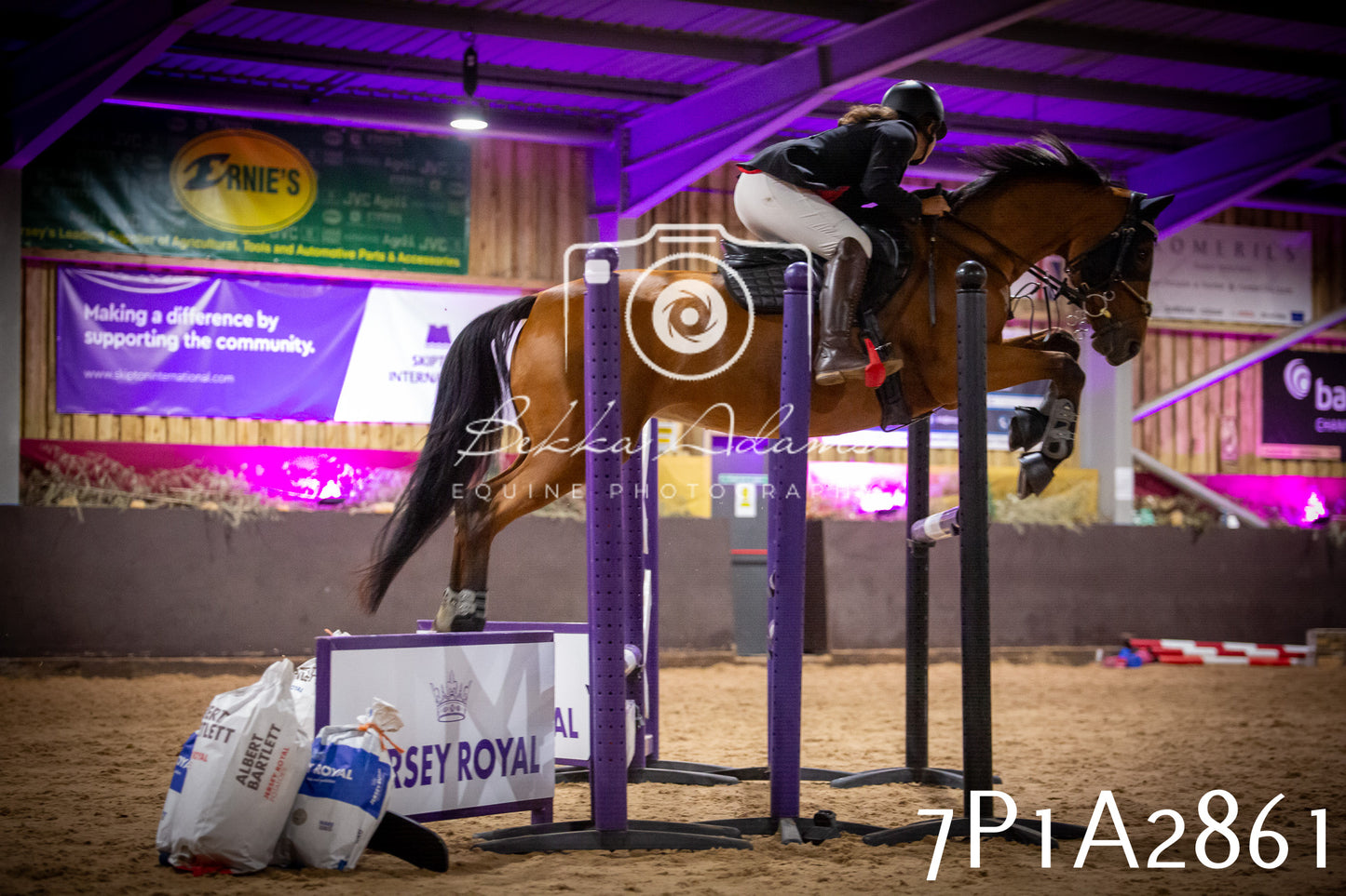 JHOYS 2025 - Show Jumping - 20th September - Puissance