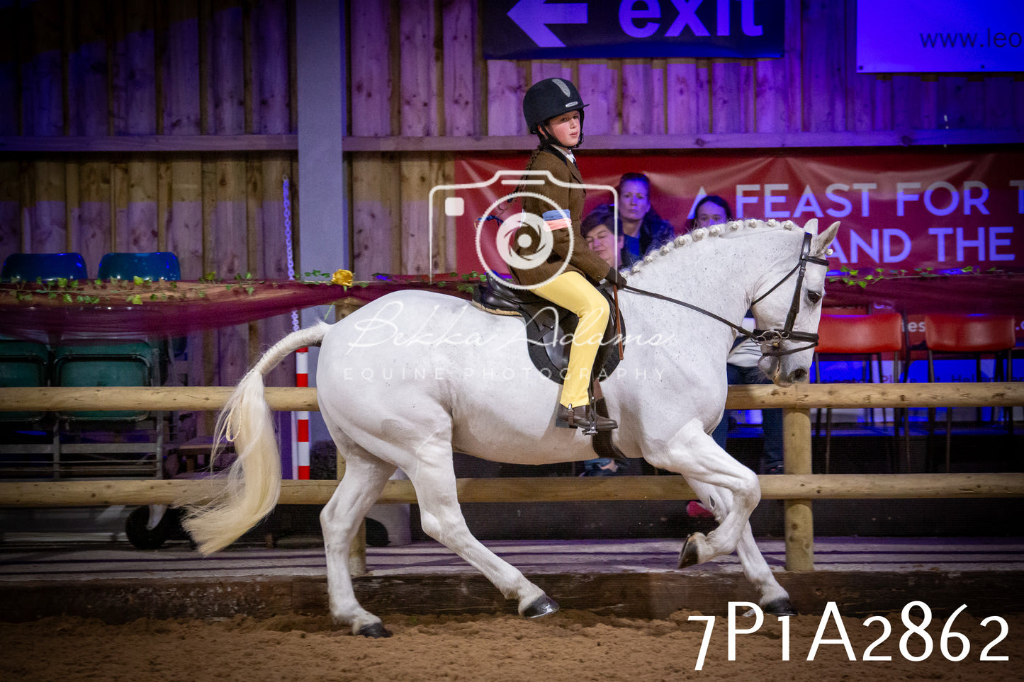 JHOYS 2025 - Ridden Showing - 28th September - pt3