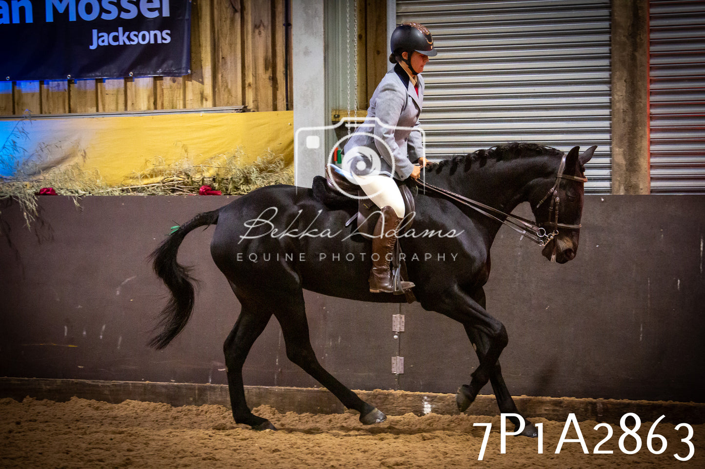 JHOYS 2025 - Ridden Showing - 28th September - pt3