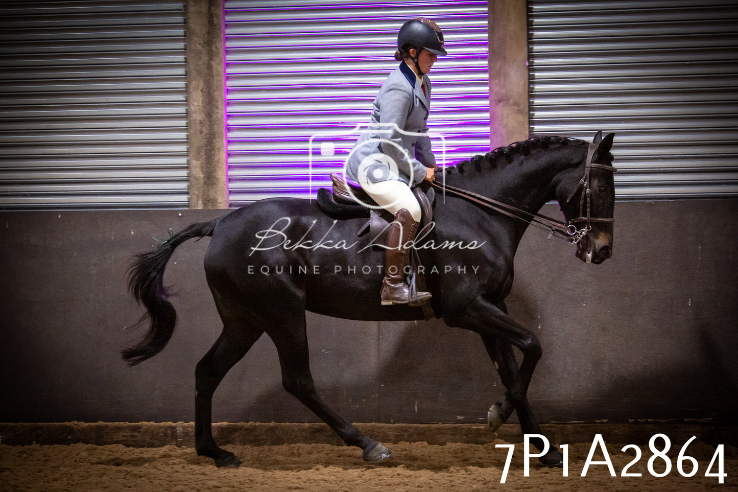 JHOYS 2025 - Ridden Showing - 28th September - pt3