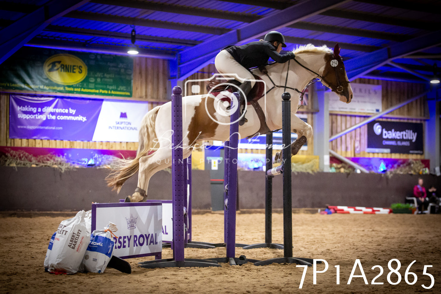 JHOYS 2025 - Show Jumping - 20th September - Puissance