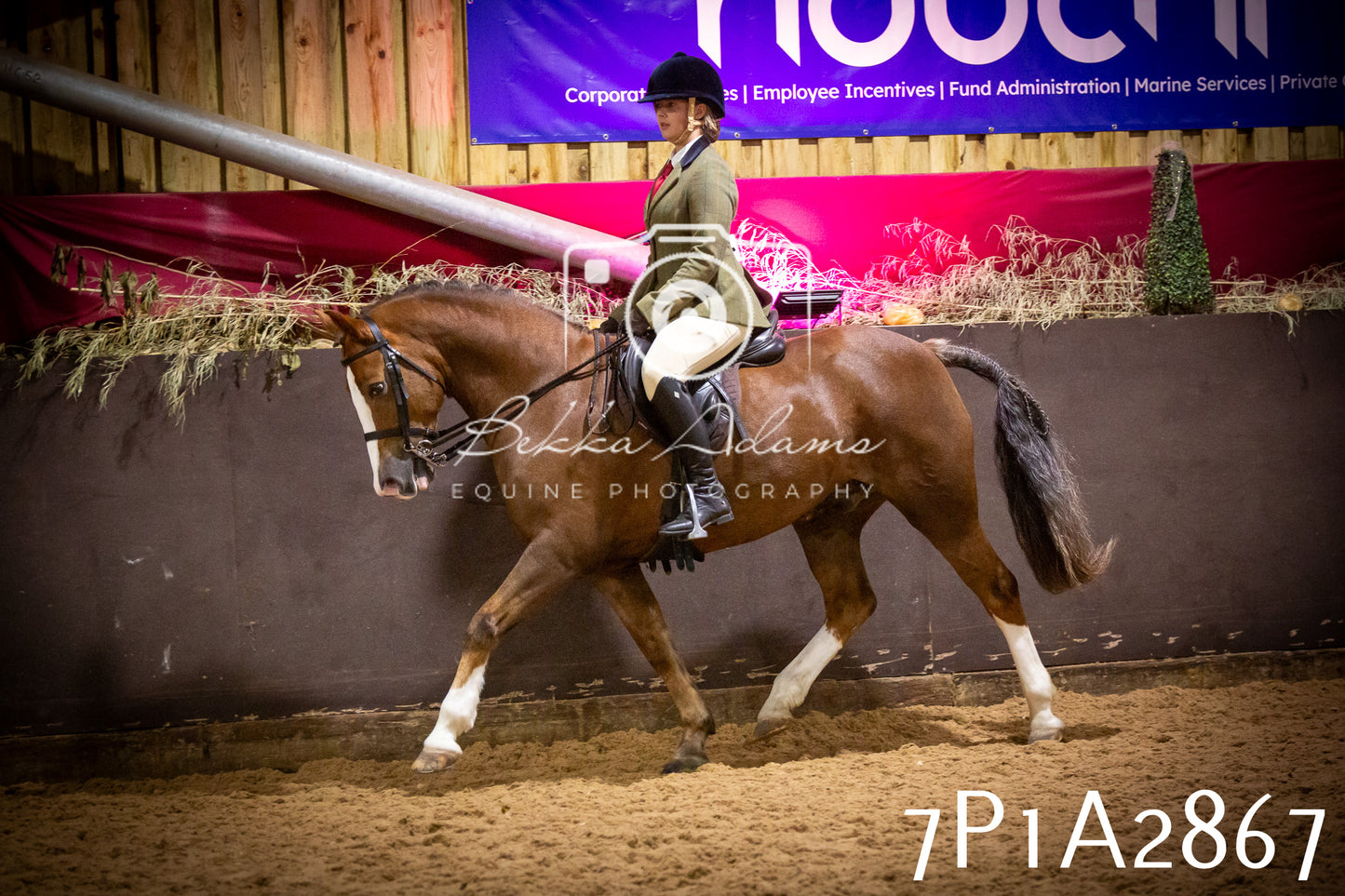 JHOYS 2025 - Ridden Showing - 28th September - pt3