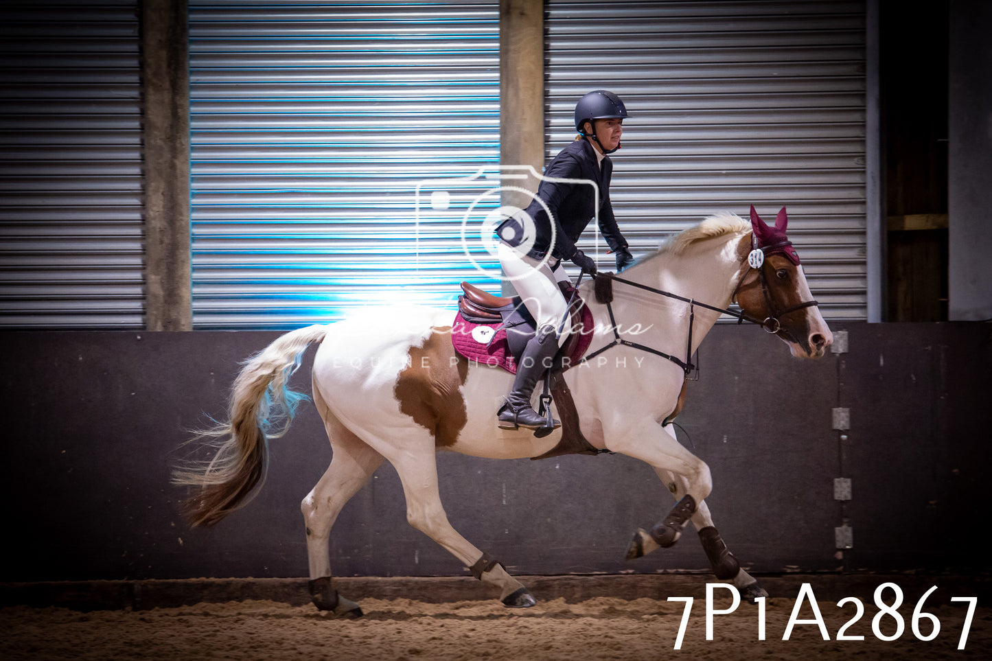 JHOYS 2025 - Show Jumping - 20th September - Puissance