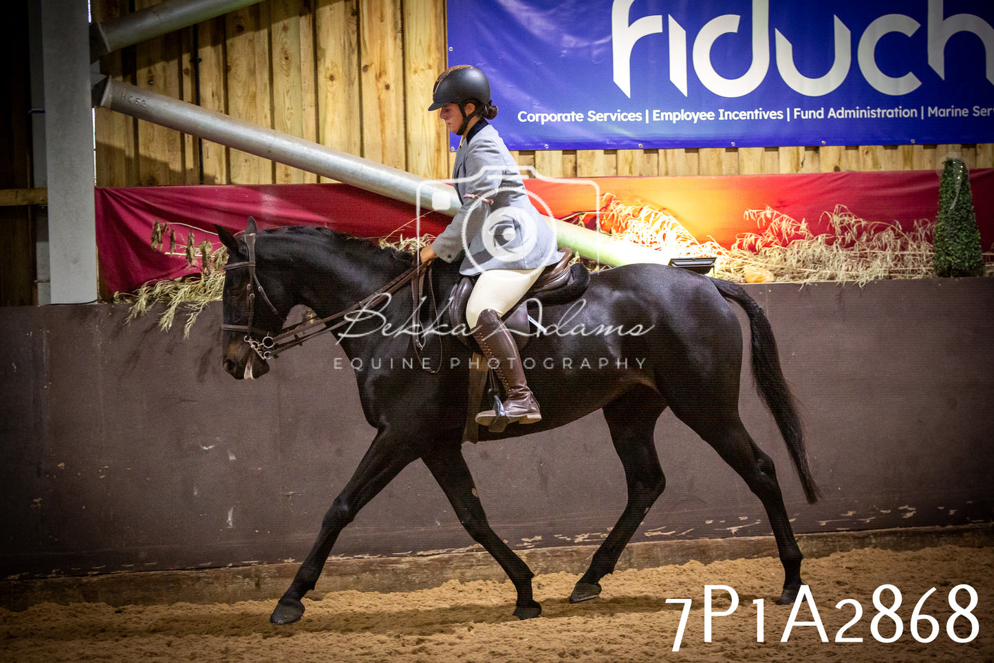 JHOYS 2025 - Ridden Showing - 28th September - pt3