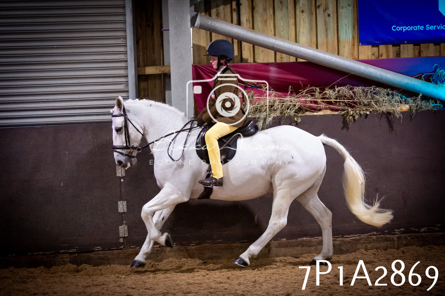 JHOYS 2025 - Ridden Showing - 28th September - pt3