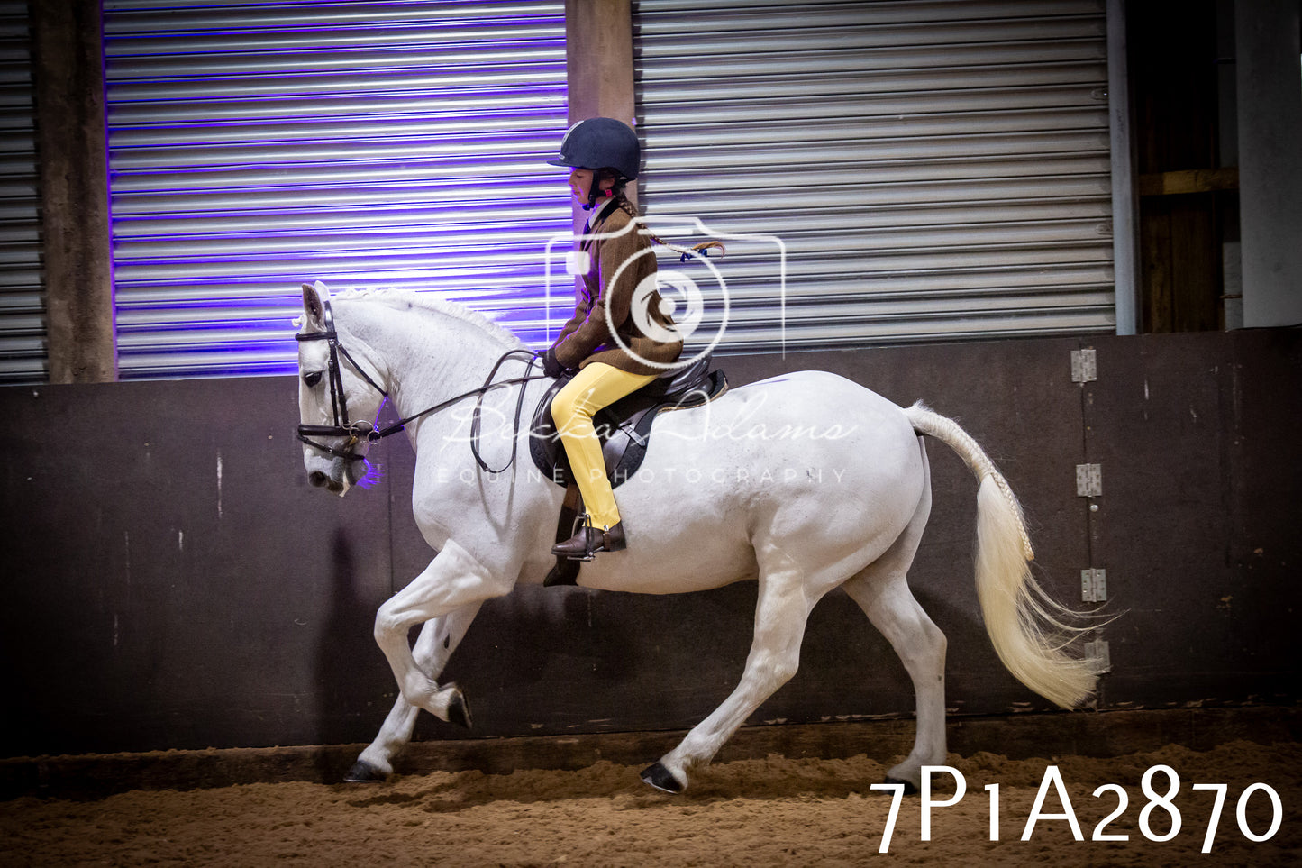 JHOYS 2025 - Ridden Showing - 28th September - pt3