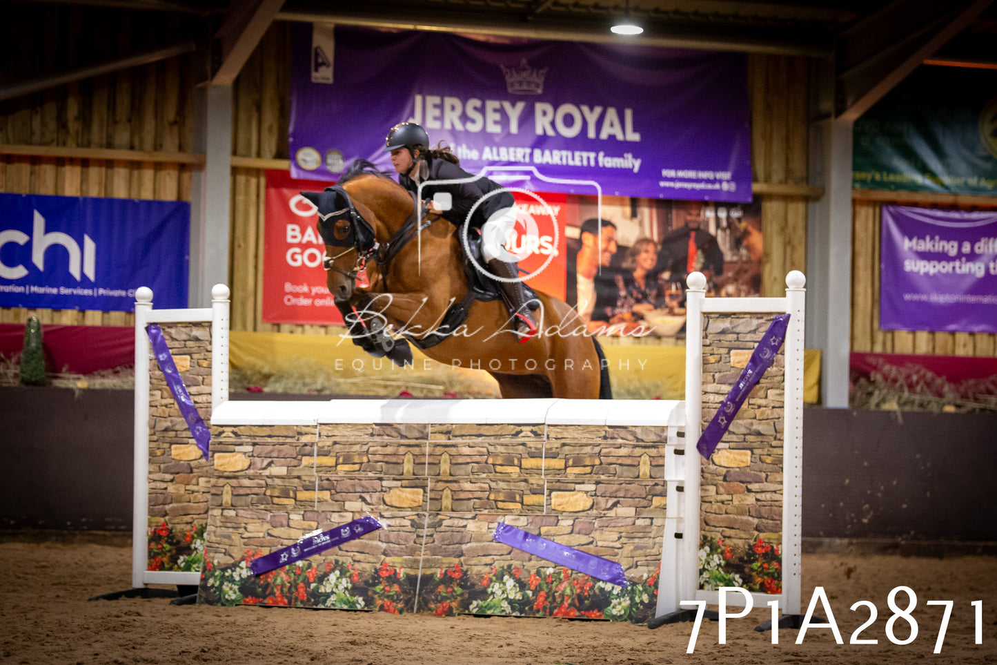 JHOYS 2025 - Show Jumping - 20th September - Puissance