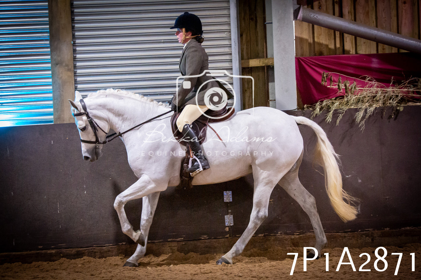 JHOYS 2025 - Ridden Showing - 28th September - pt3