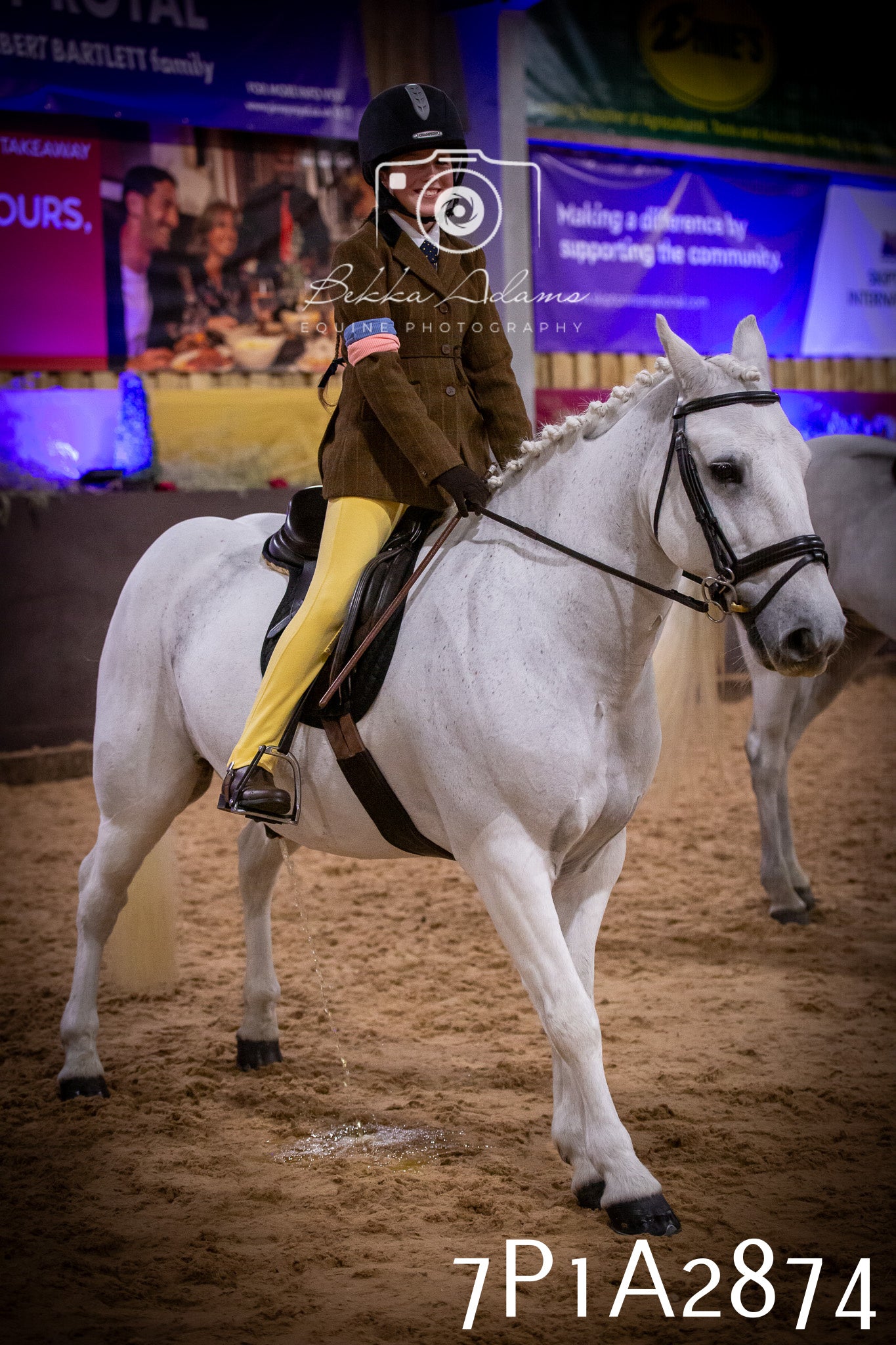 JHOYS 2025 - Ridden Showing - 28th September - pt3