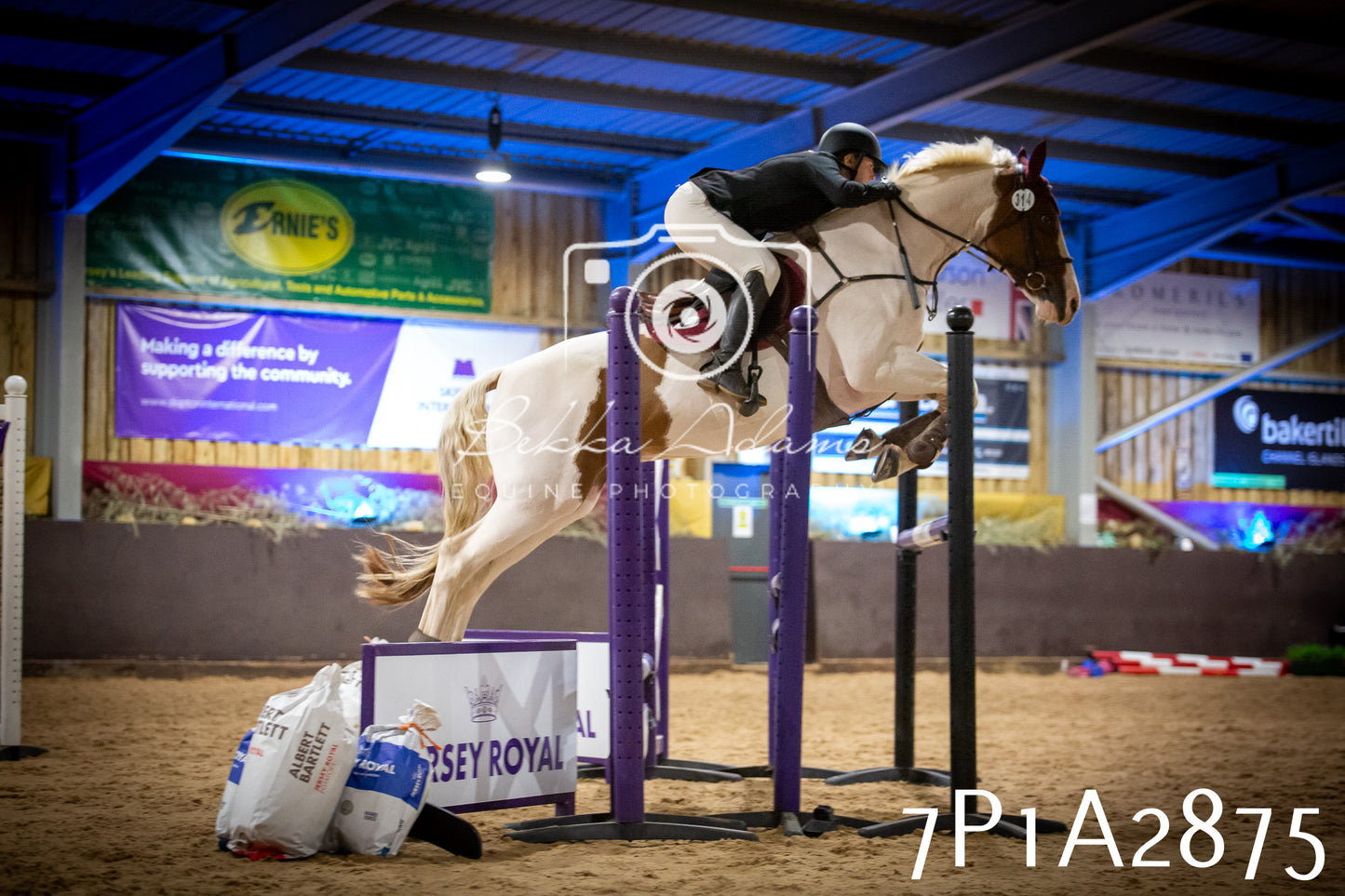 JHOYS 2025 - Show Jumping - 20th September - Puissance