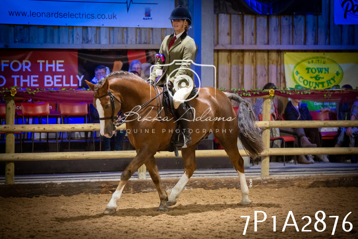 JHOYS 2025 - Ridden Showing - 28th September - pt3