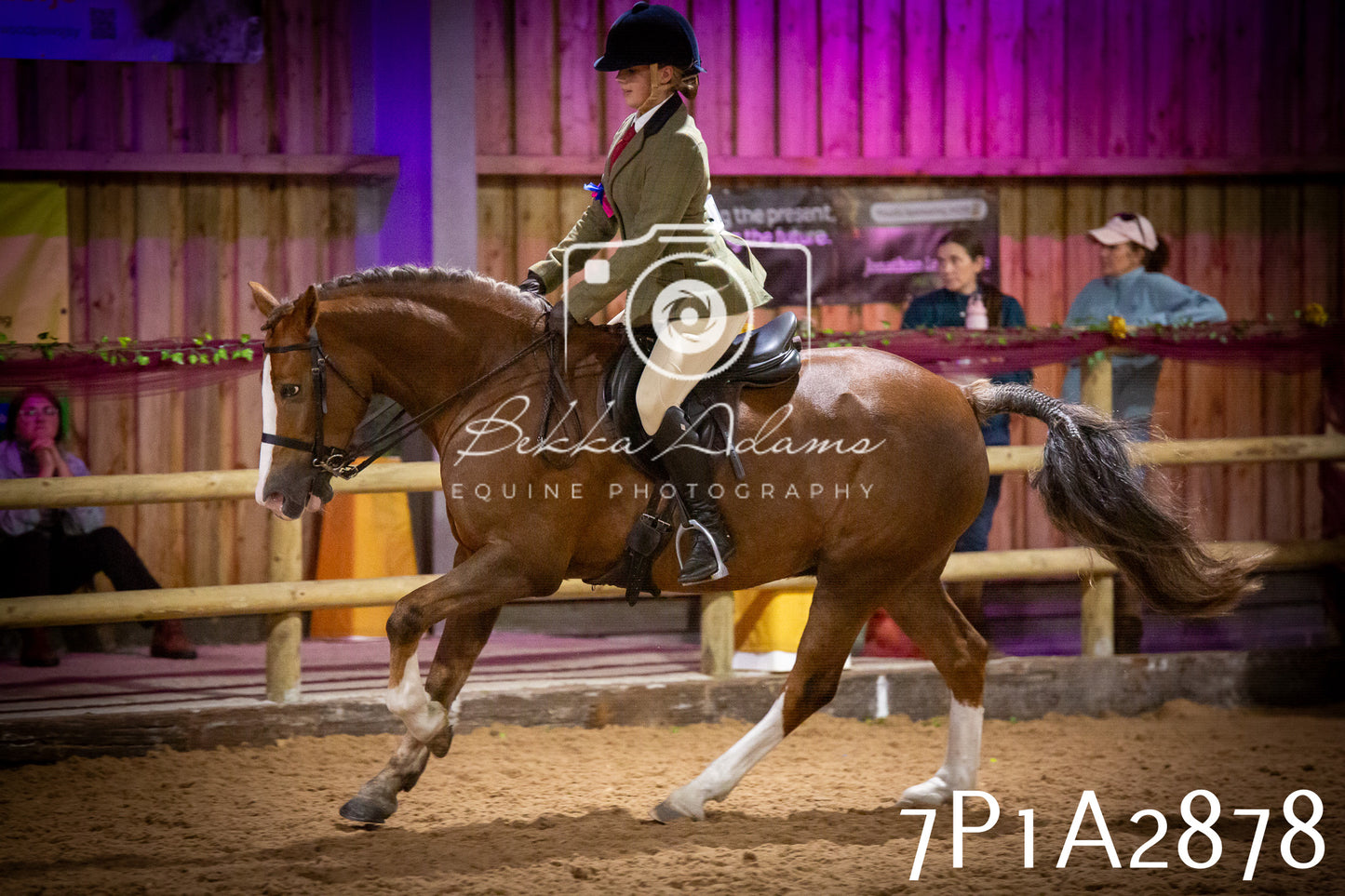 JHOYS 2025 - Ridden Showing - 28th September - pt3