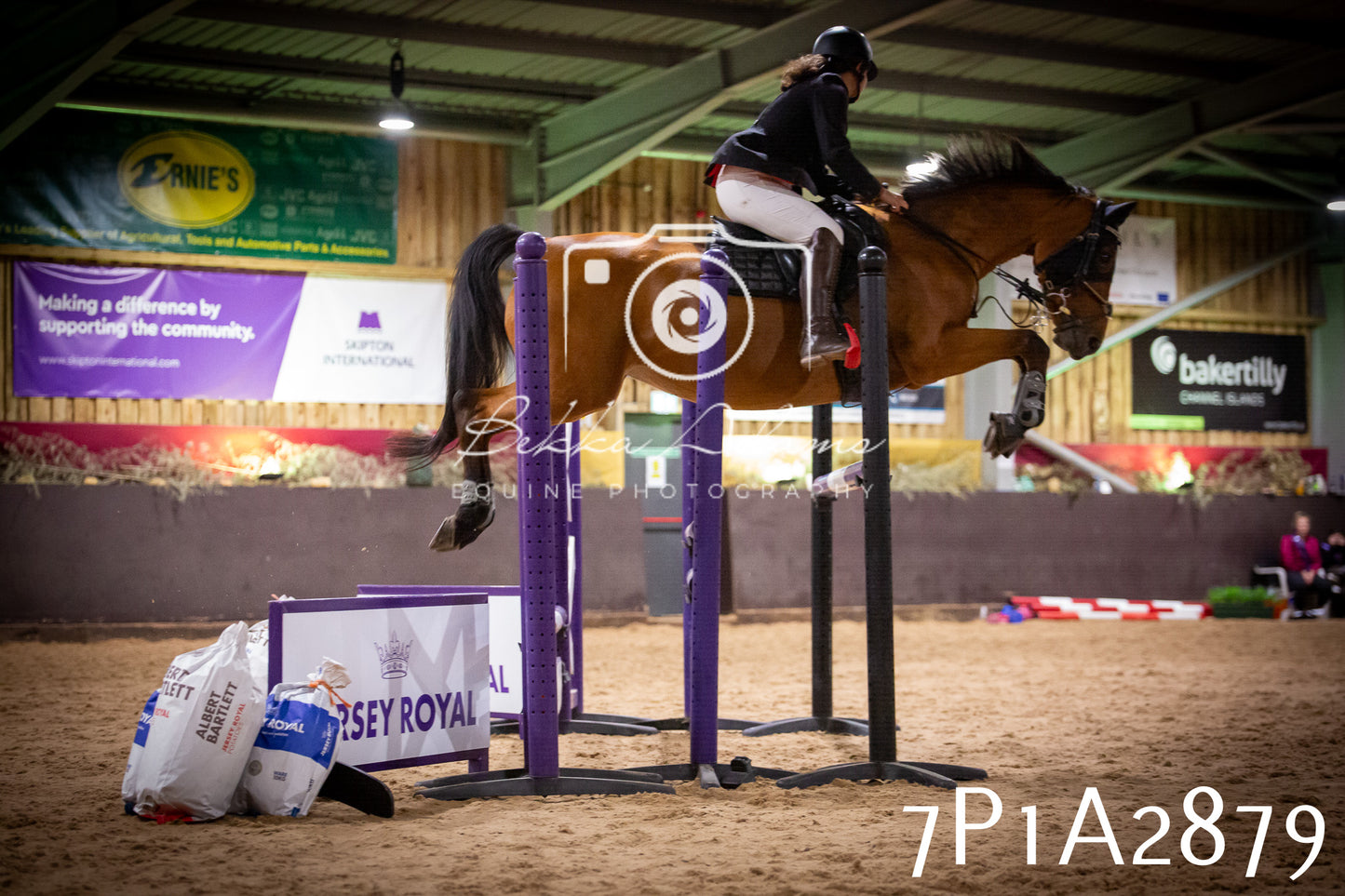 JHOYS 2025 - Show Jumping - 20th September - Puissance