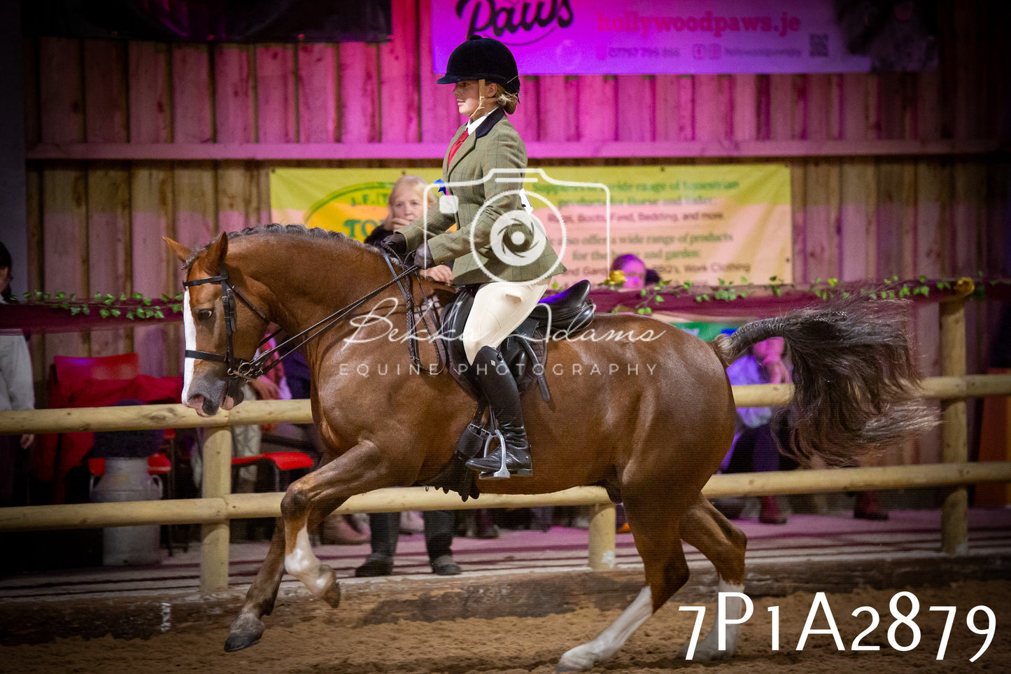 JHOYS 2025 - Ridden Showing - 28th September - pt3