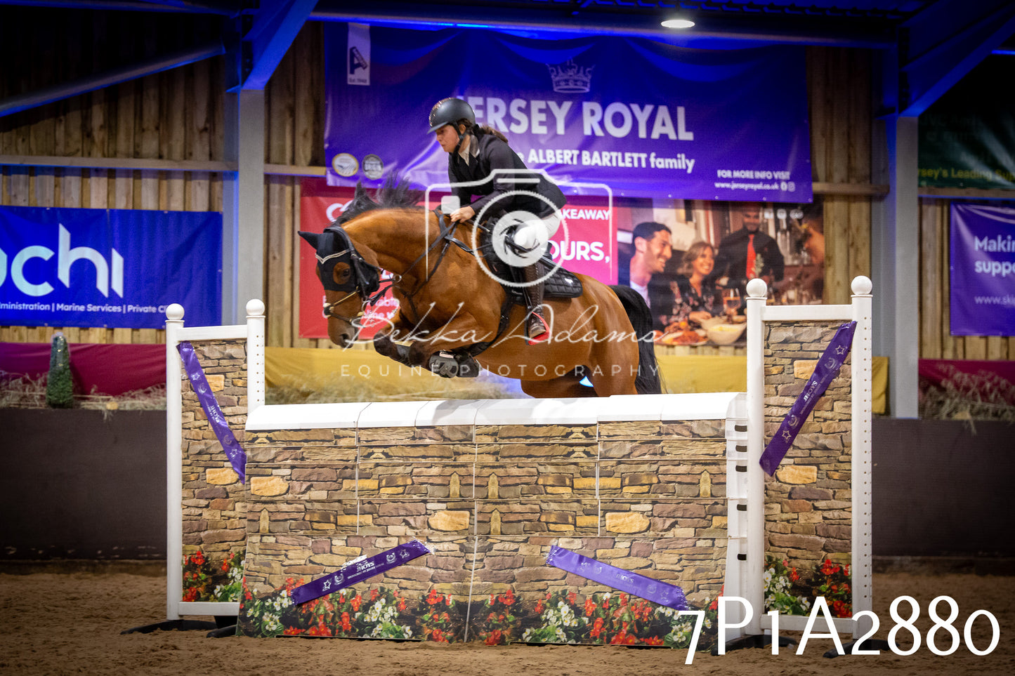 JHOYS 2025 - Show Jumping - 20th September - Puissance