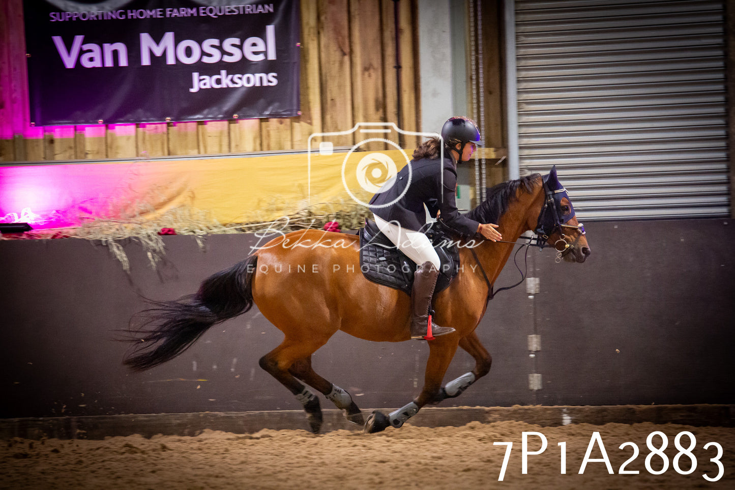 JHOYS 2025 - Show Jumping - 20th September - Puissance