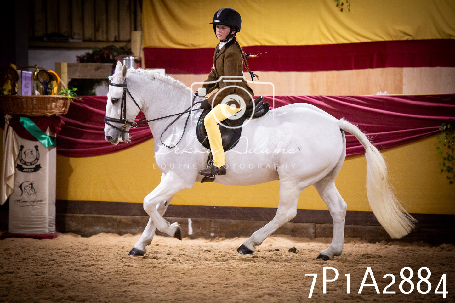 JHOYS 2025 - Ridden Showing - 28th September - pt3