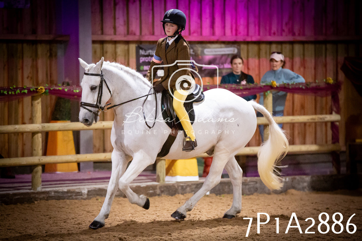 JHOYS 2025 - Ridden Showing - 28th September - pt3