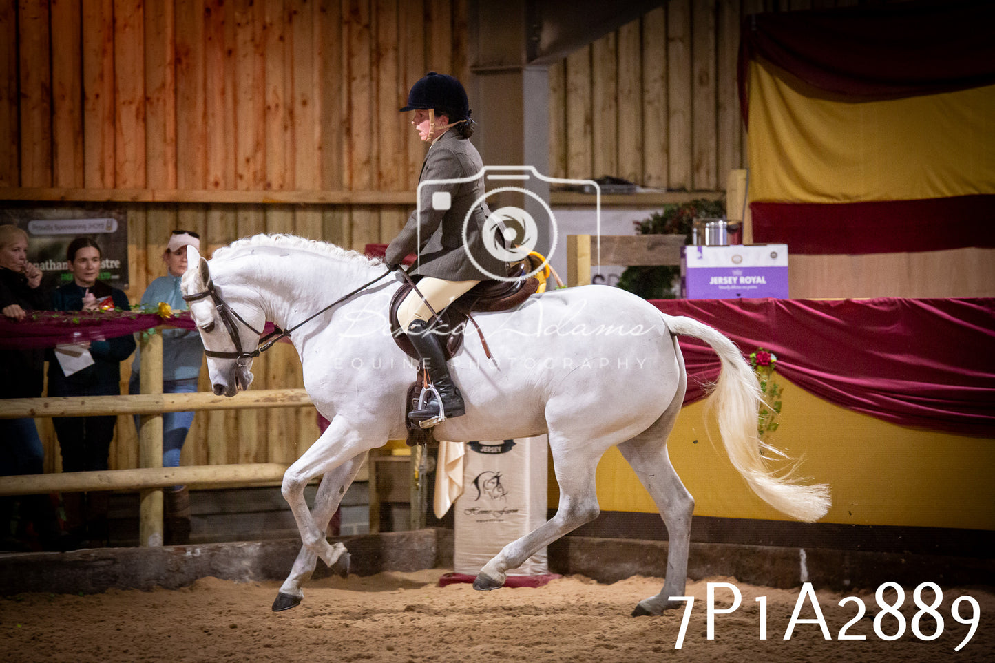 JHOYS 2025 - Ridden Showing - 28th September - pt3