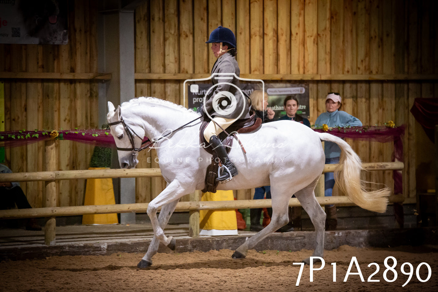 JHOYS 2025 - Ridden Showing - 28th September - pt3