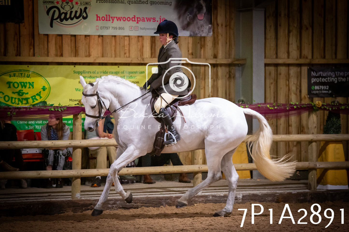 JHOYS 2025 - Ridden Showing - 28th September - pt3