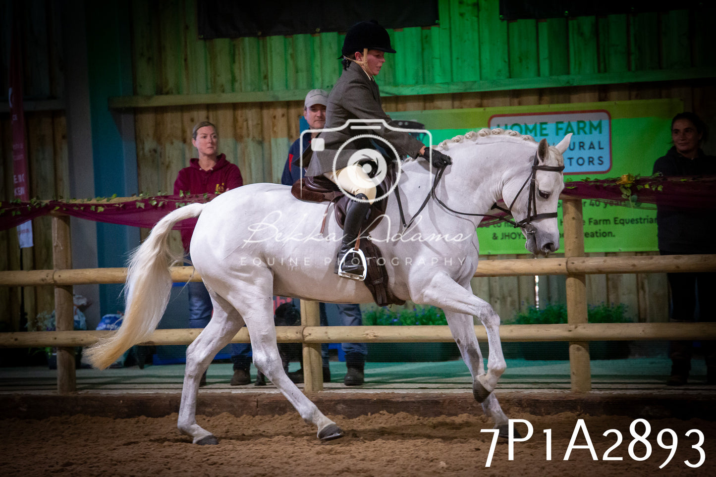 JHOYS 2025 - Ridden Showing - 28th September - pt3