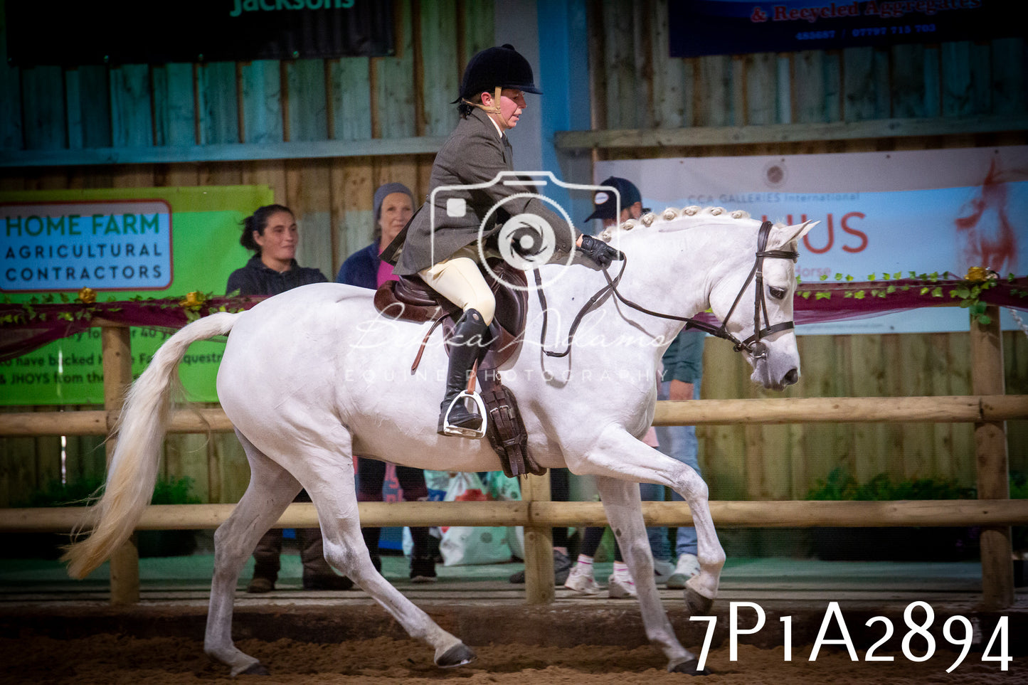 JHOYS 2025 - Ridden Showing - 28th September - pt3