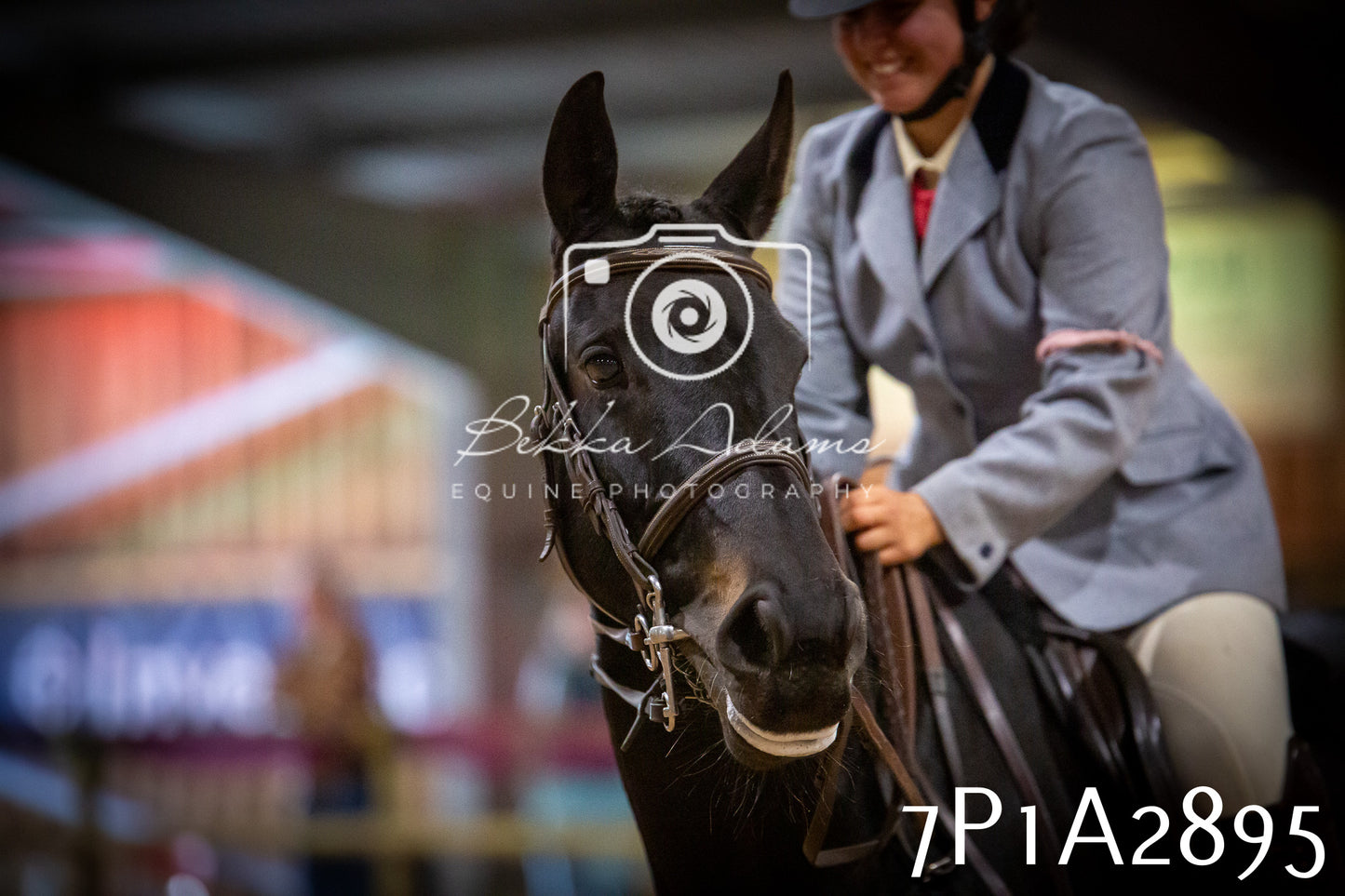 JHOYS 2025 - Ridden Showing - 28th September - pt3