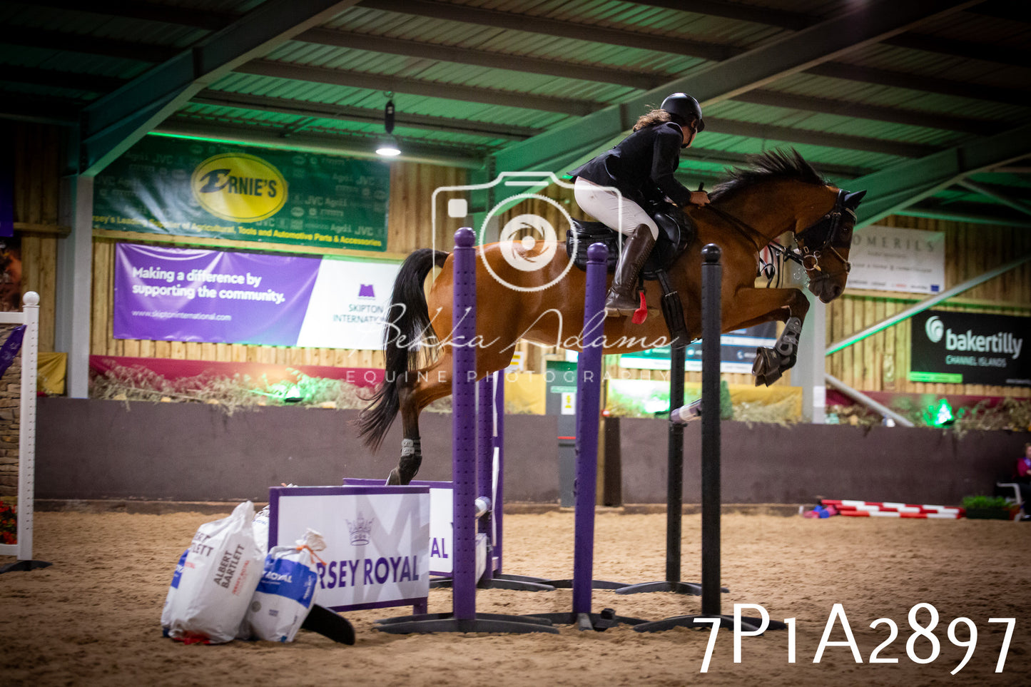 JHOYS 2025 - Show Jumping - 20th September - Puissance