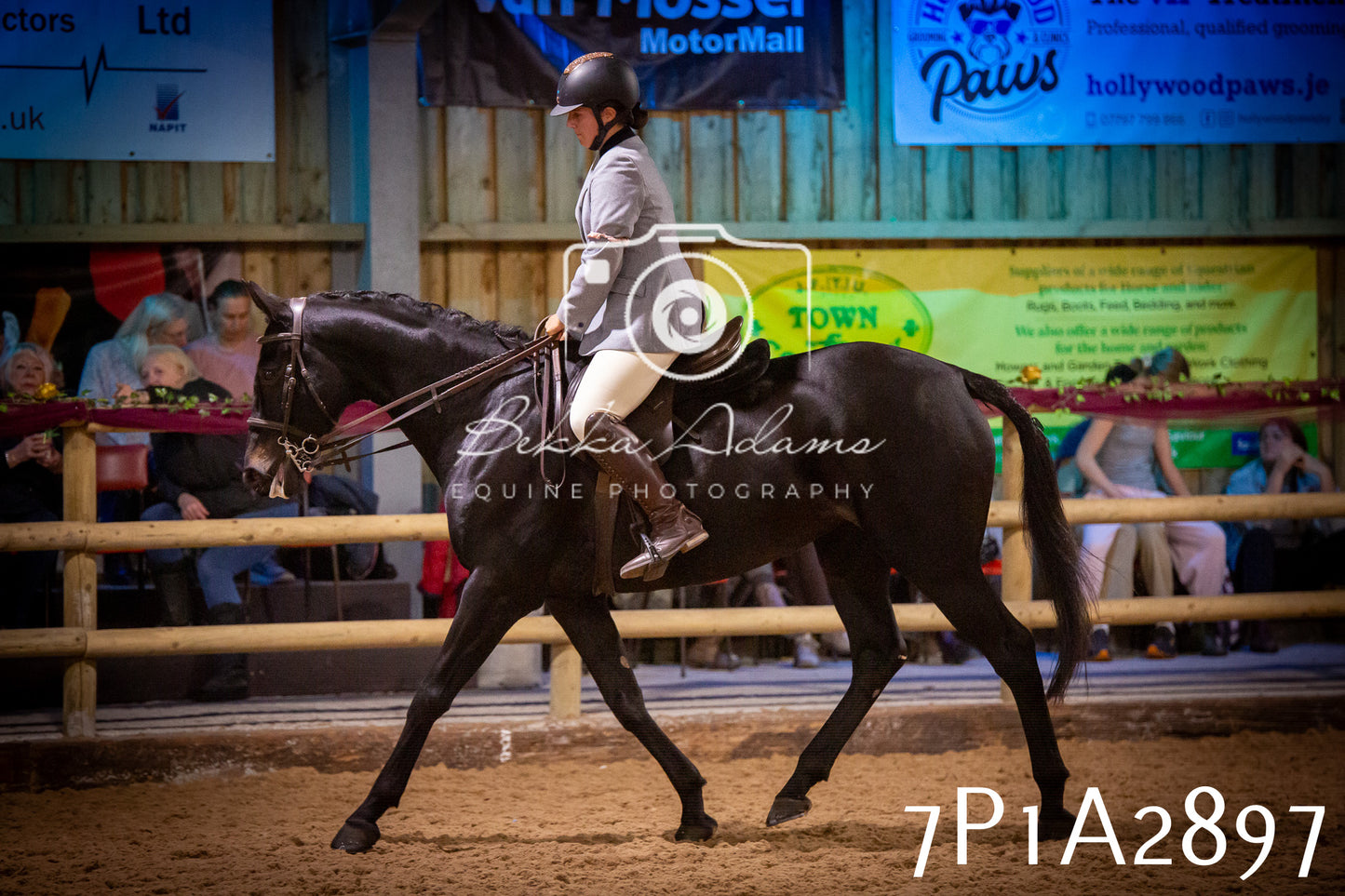 JHOYS 2025 - Ridden Showing - 28th September - pt3