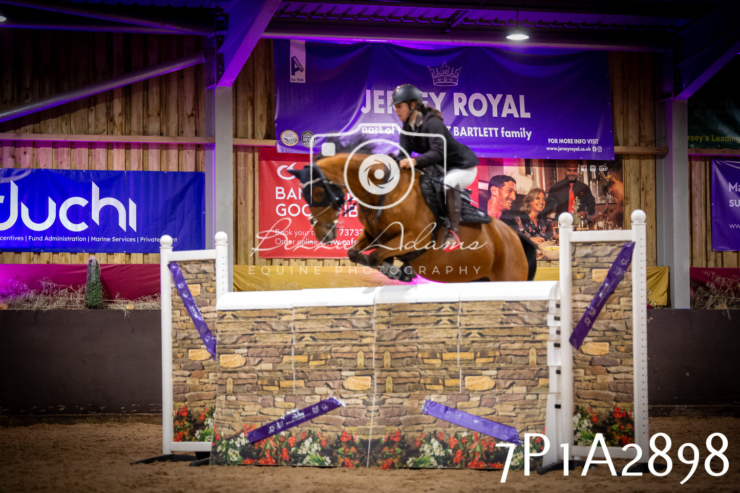 JHOYS 2025 - Show Jumping - 20th September - Puissance