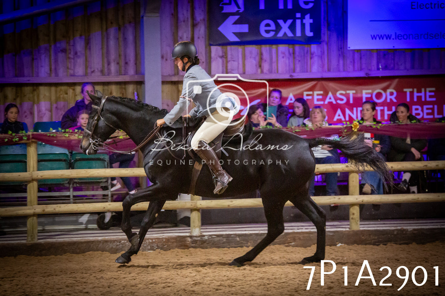 JHOYS 2025 - Ridden Showing - 28th September - pt3