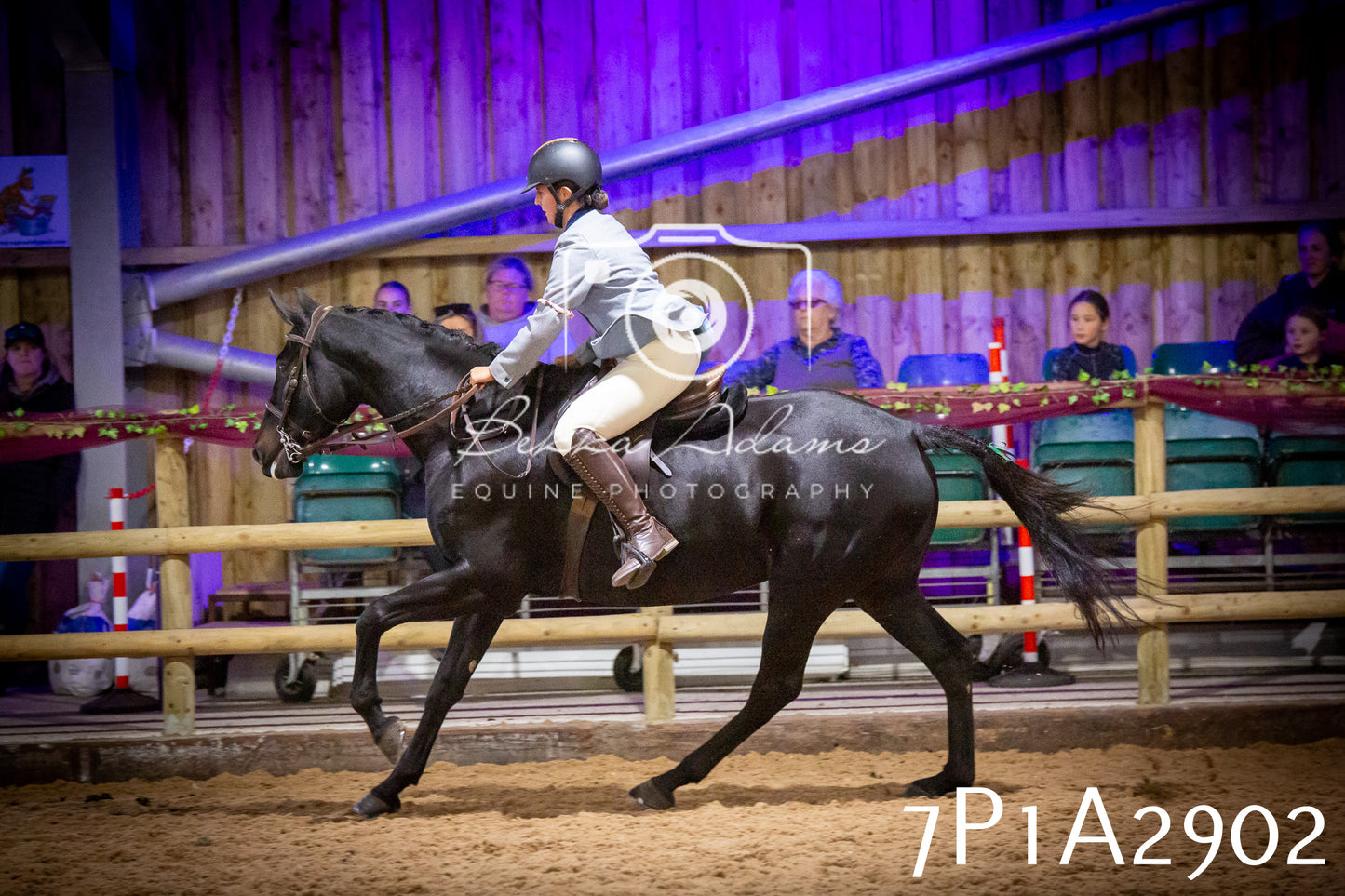 JHOYS 2025 - Ridden Showing - 28th September - pt3