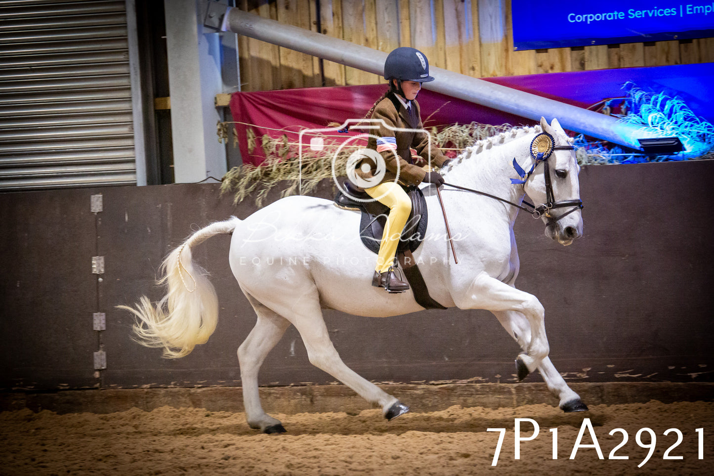 JHOYS 2025 - Ridden Showing - 28th September - pt3