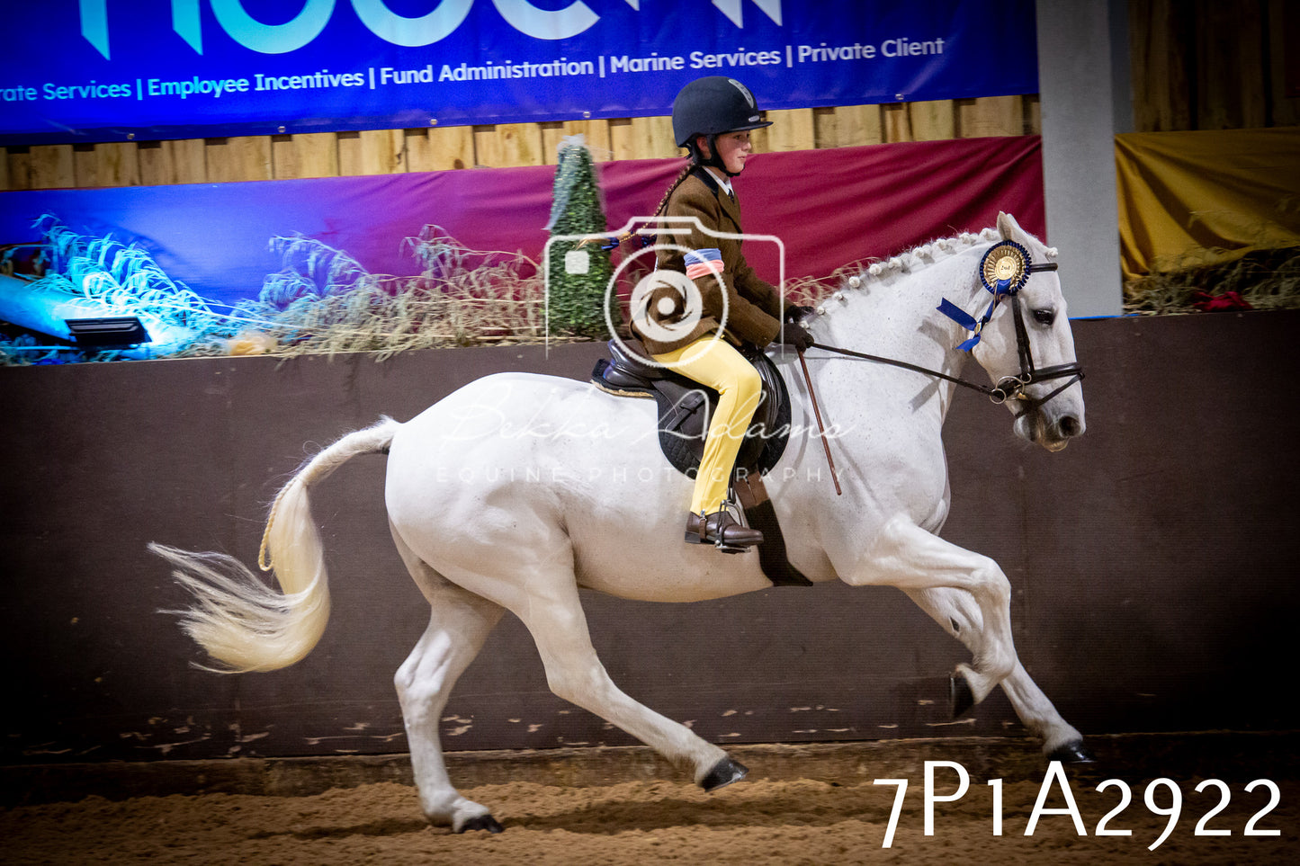 JHOYS 2025 - Ridden Showing - 28th September - pt3