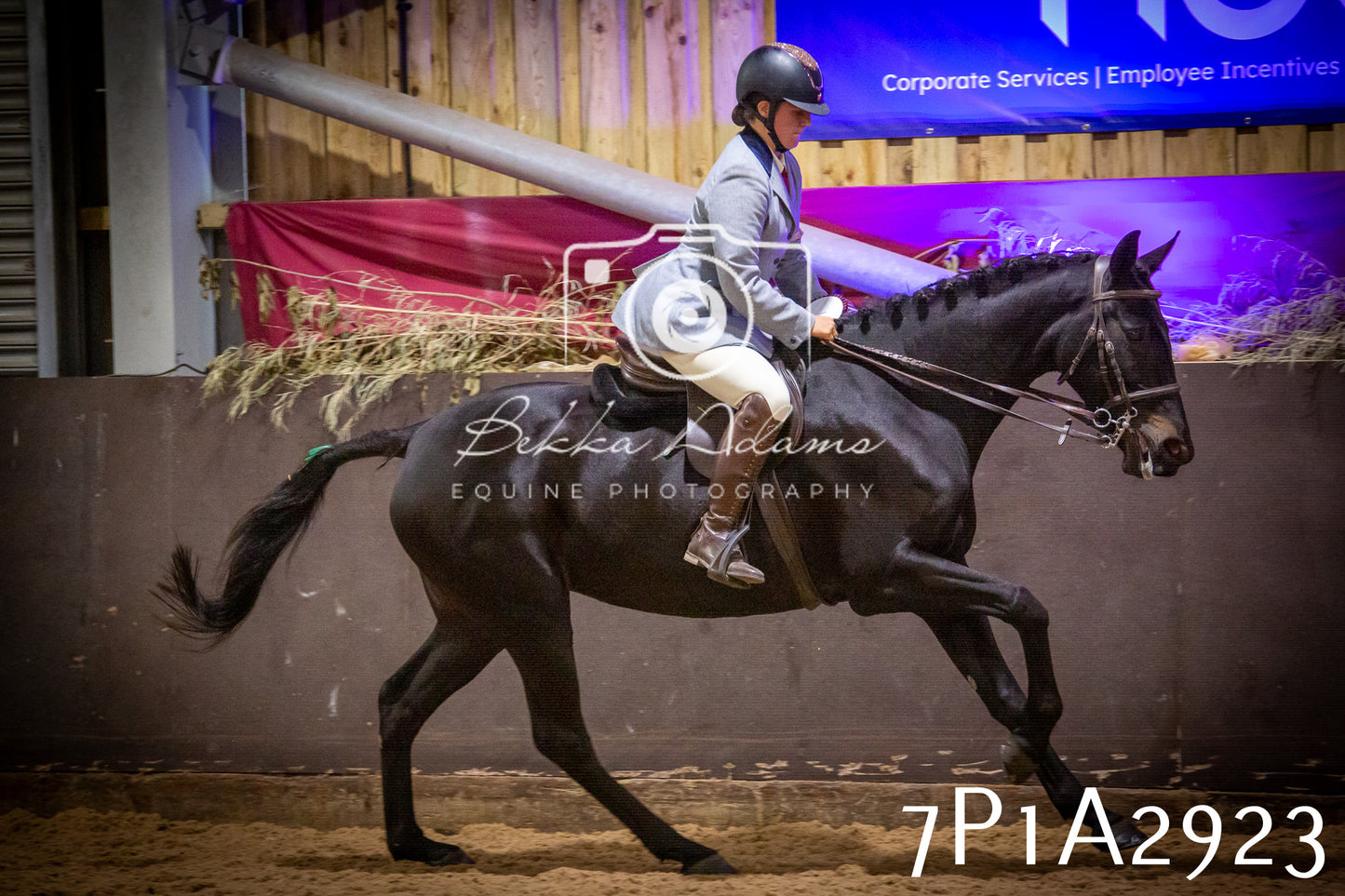 JHOYS 2025 - Ridden Showing - 28th September - pt3