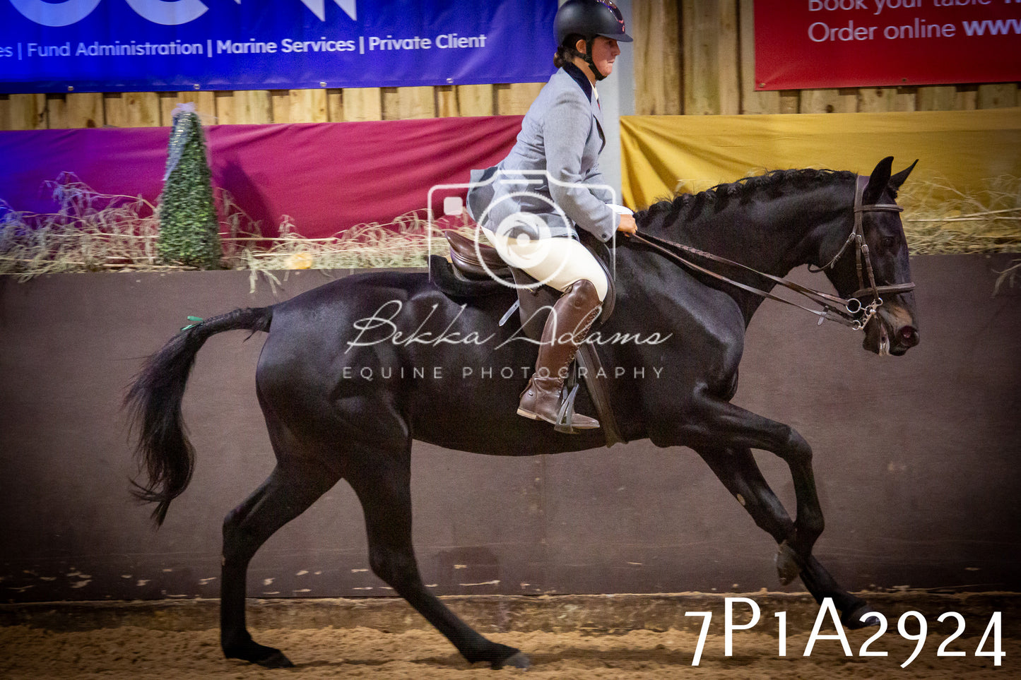 JHOYS 2025 - Ridden Showing - 28th September - pt3