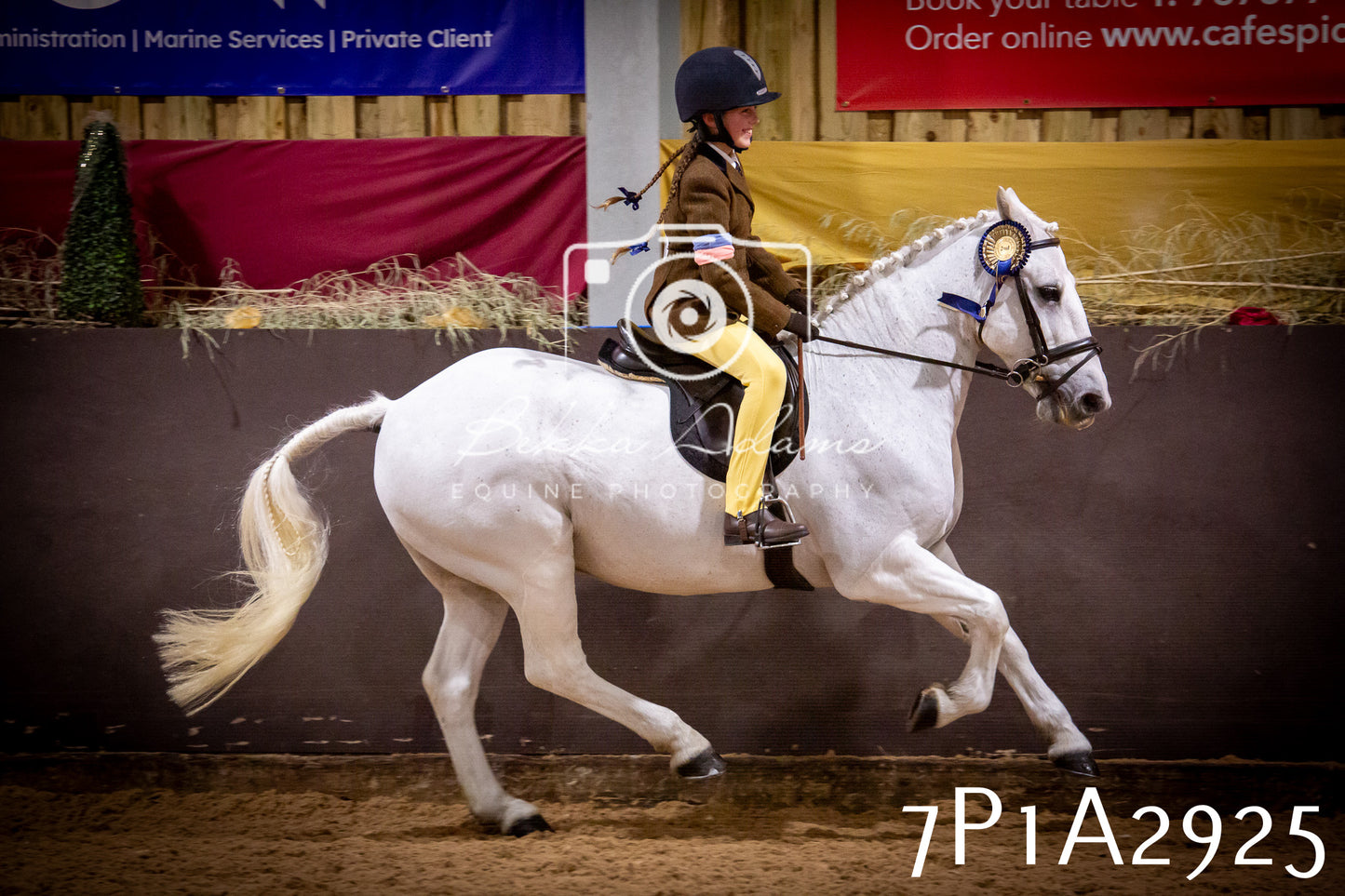 JHOYS 2025 - Ridden Showing - 28th September - pt3