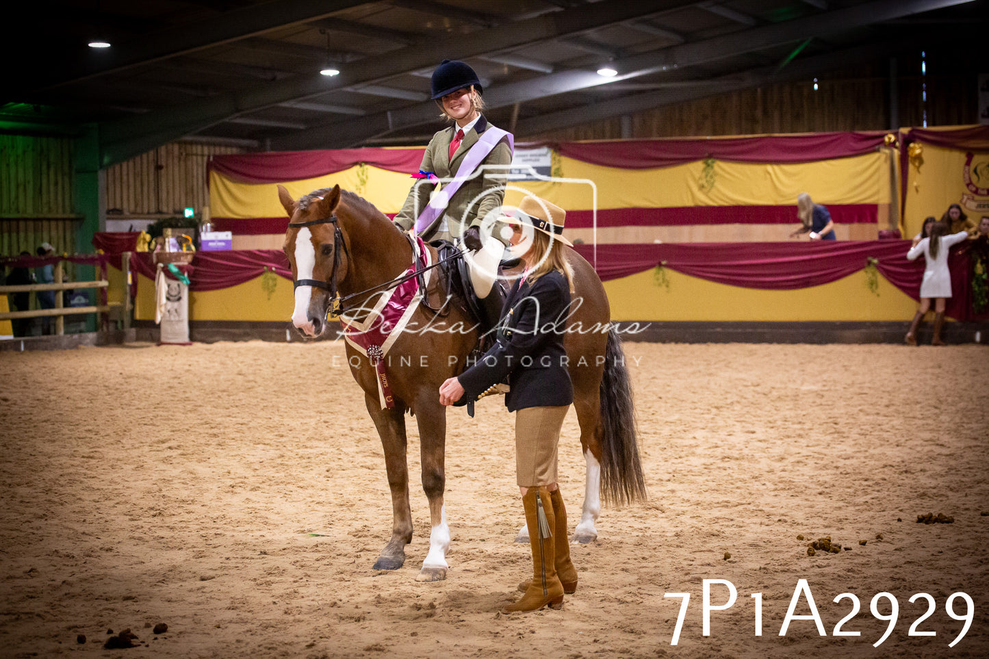 JHOYS 2025 - Ridden Showing - 28th September - pt3