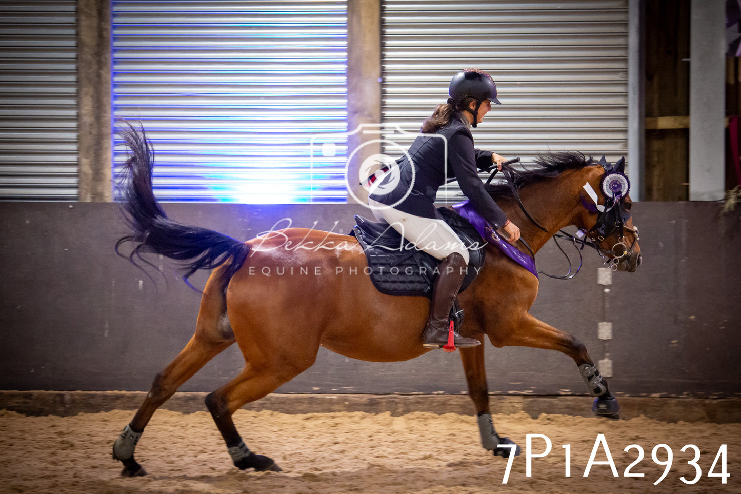 JHOYS 2025 - Show Jumping - 20th September - Puissance