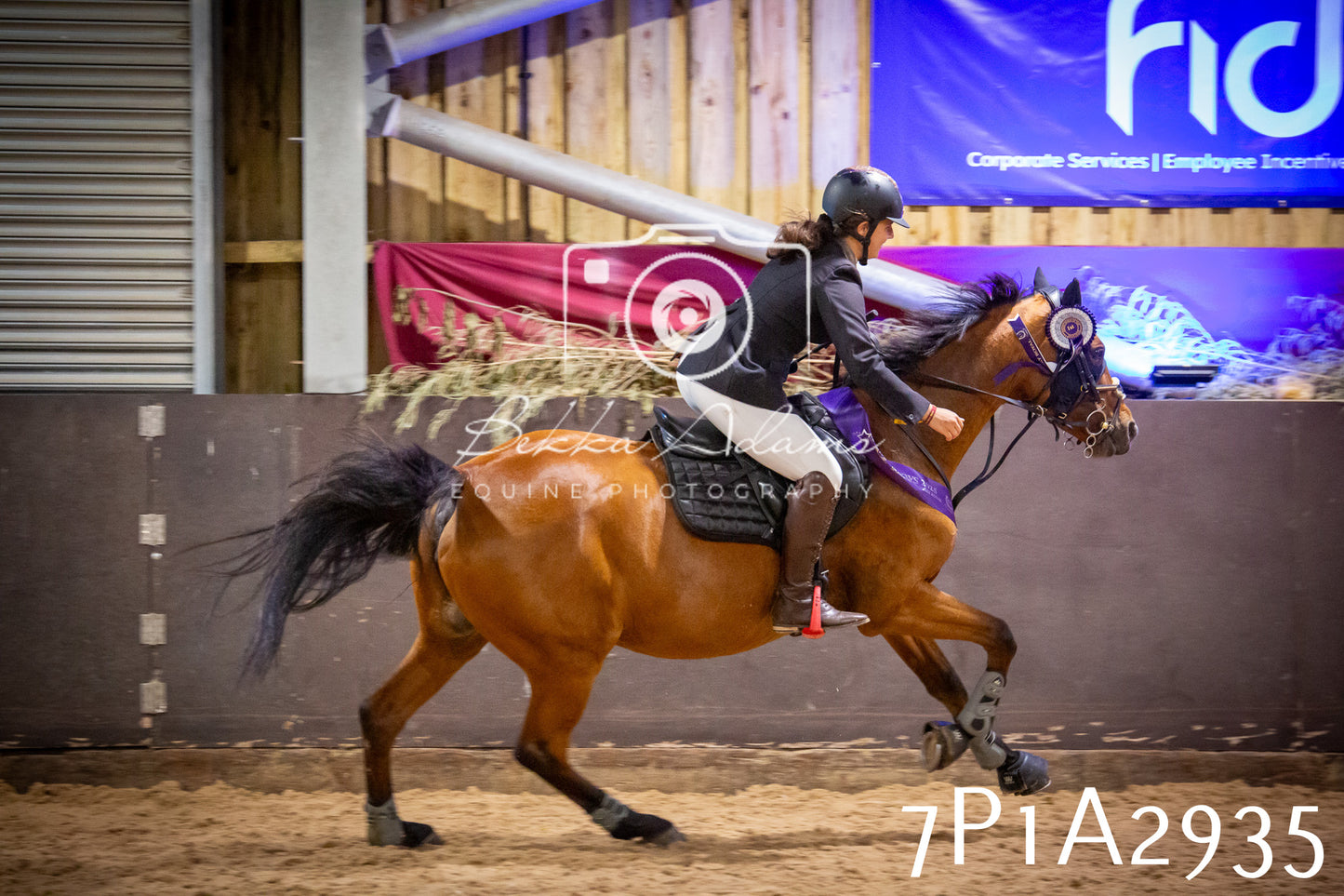 JHOYS 2025 - Show Jumping - 20th September - Puissance