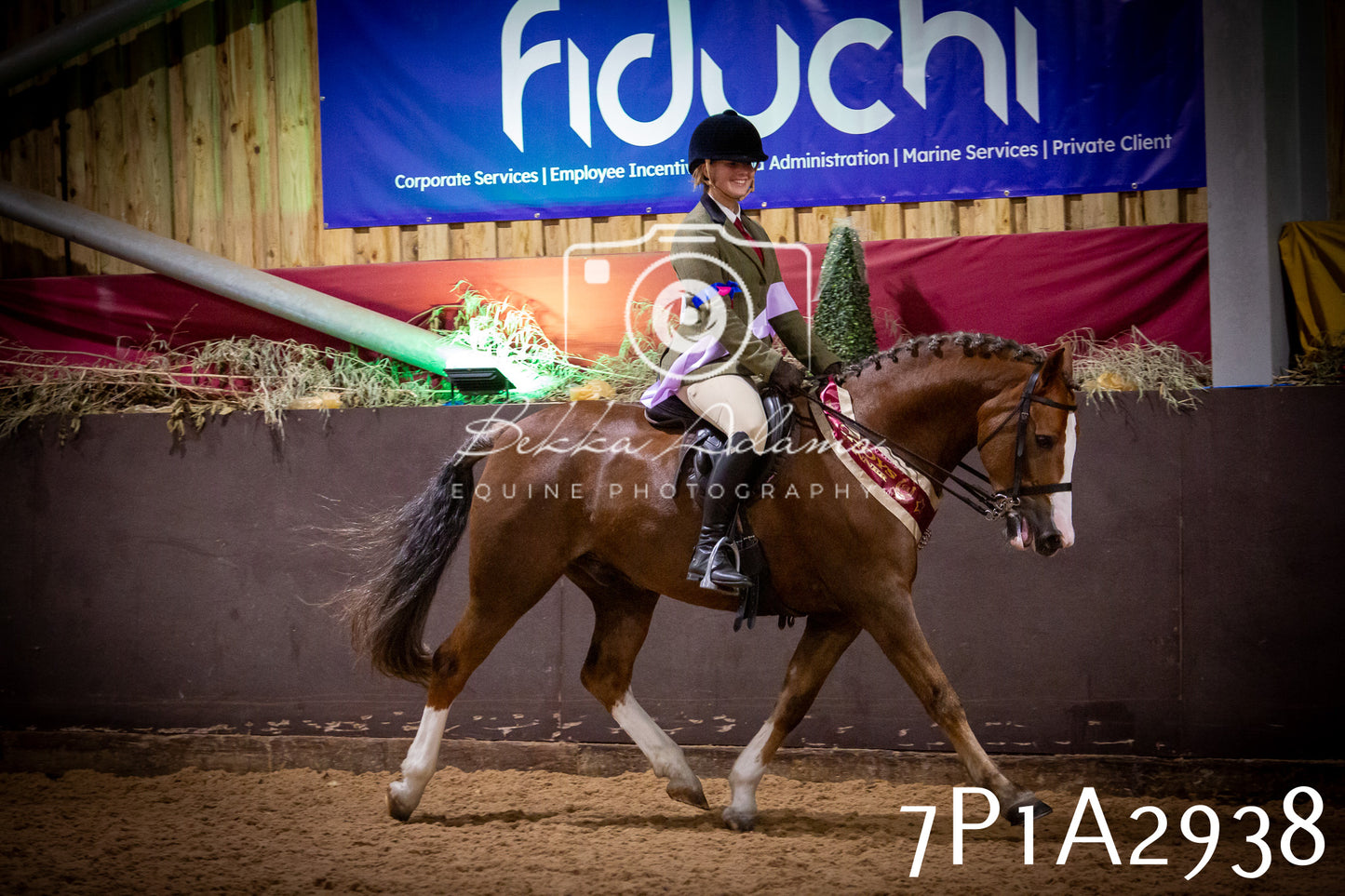 JHOYS 2025 - Ridden Showing - 28th September - pt3