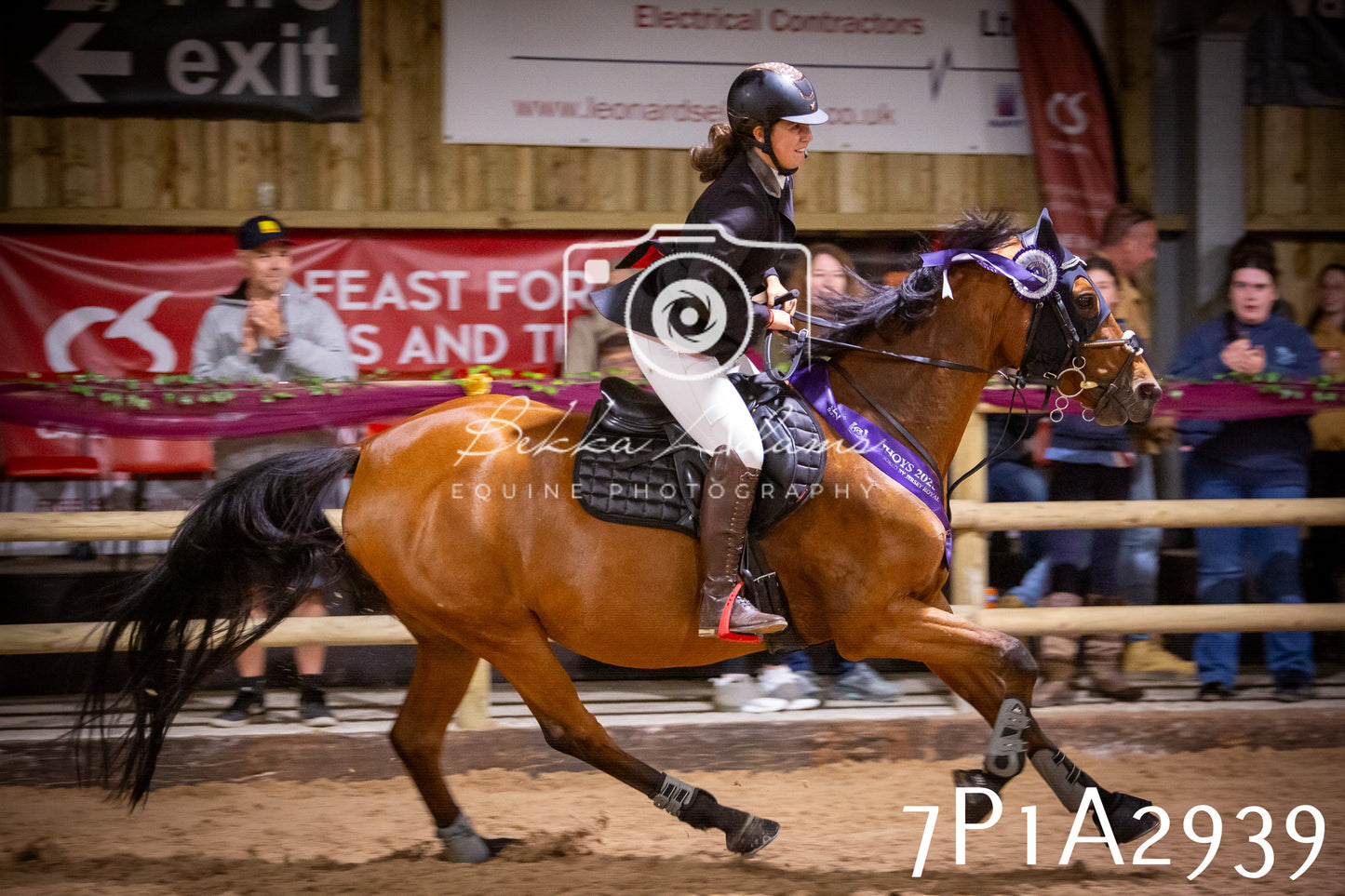 JHOYS 2025 - Show Jumping - 20th September - Puissance